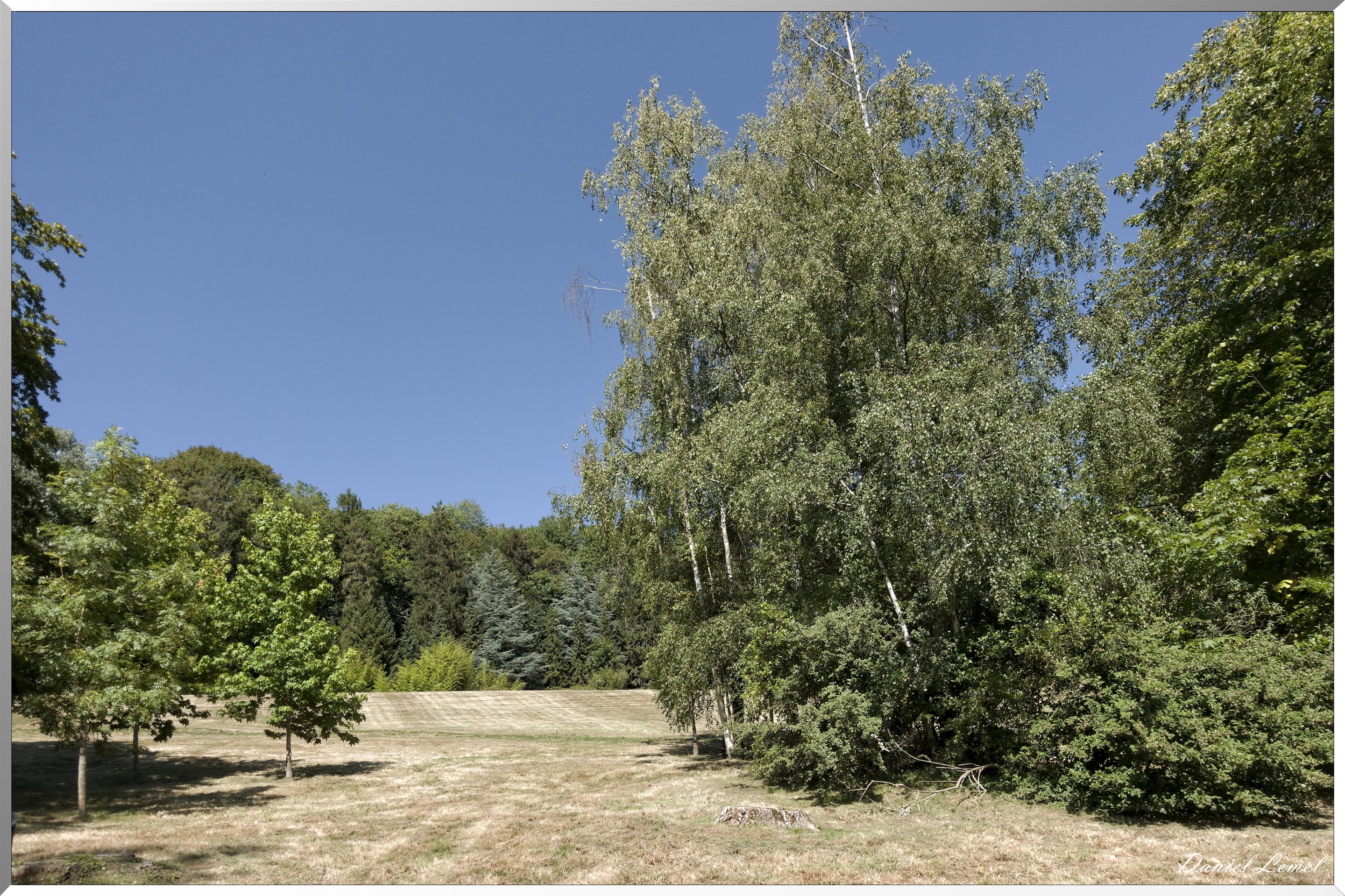 Parc Calouste Gulbenkian