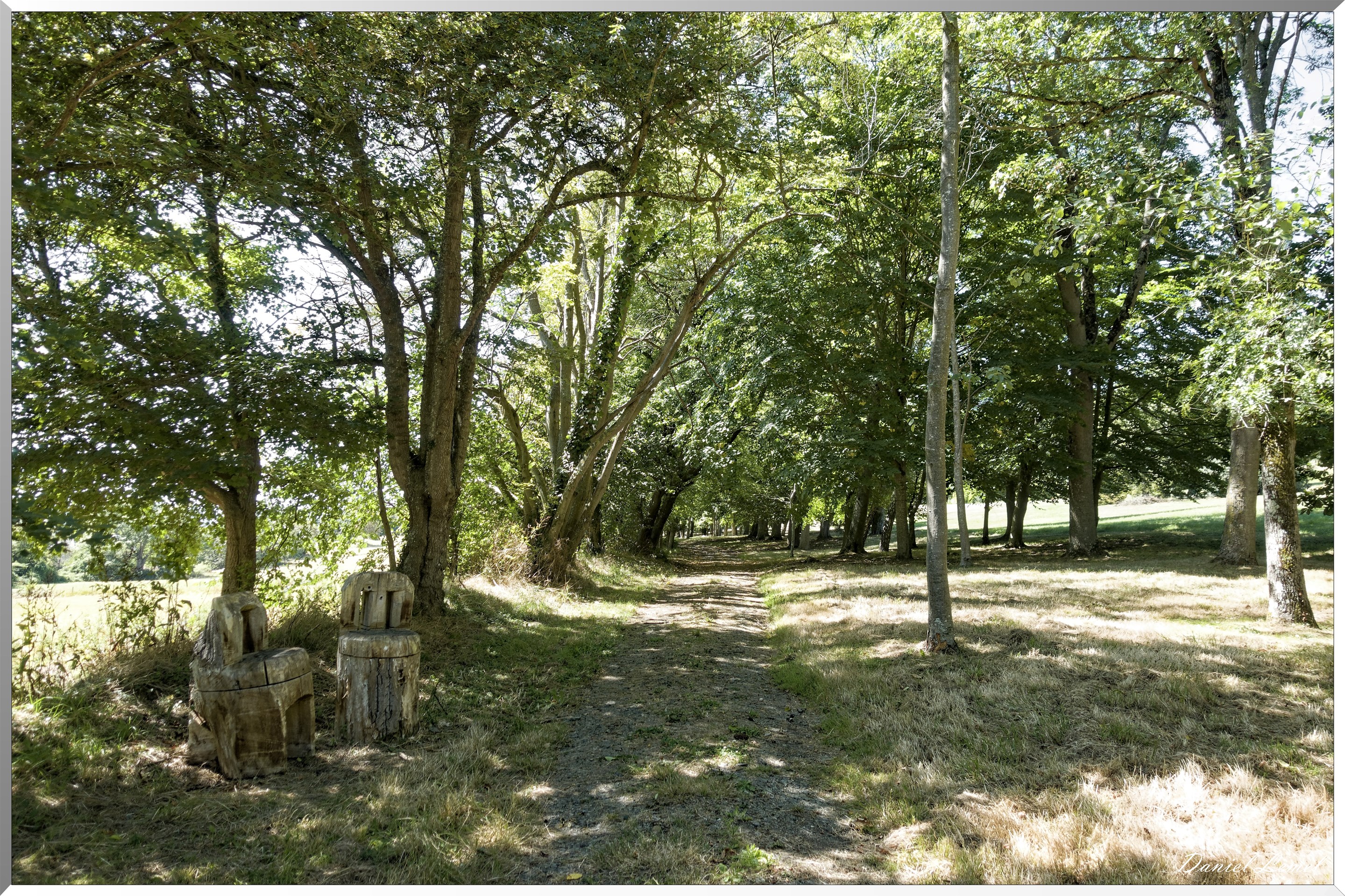 Parc Calouste Gulbenkian