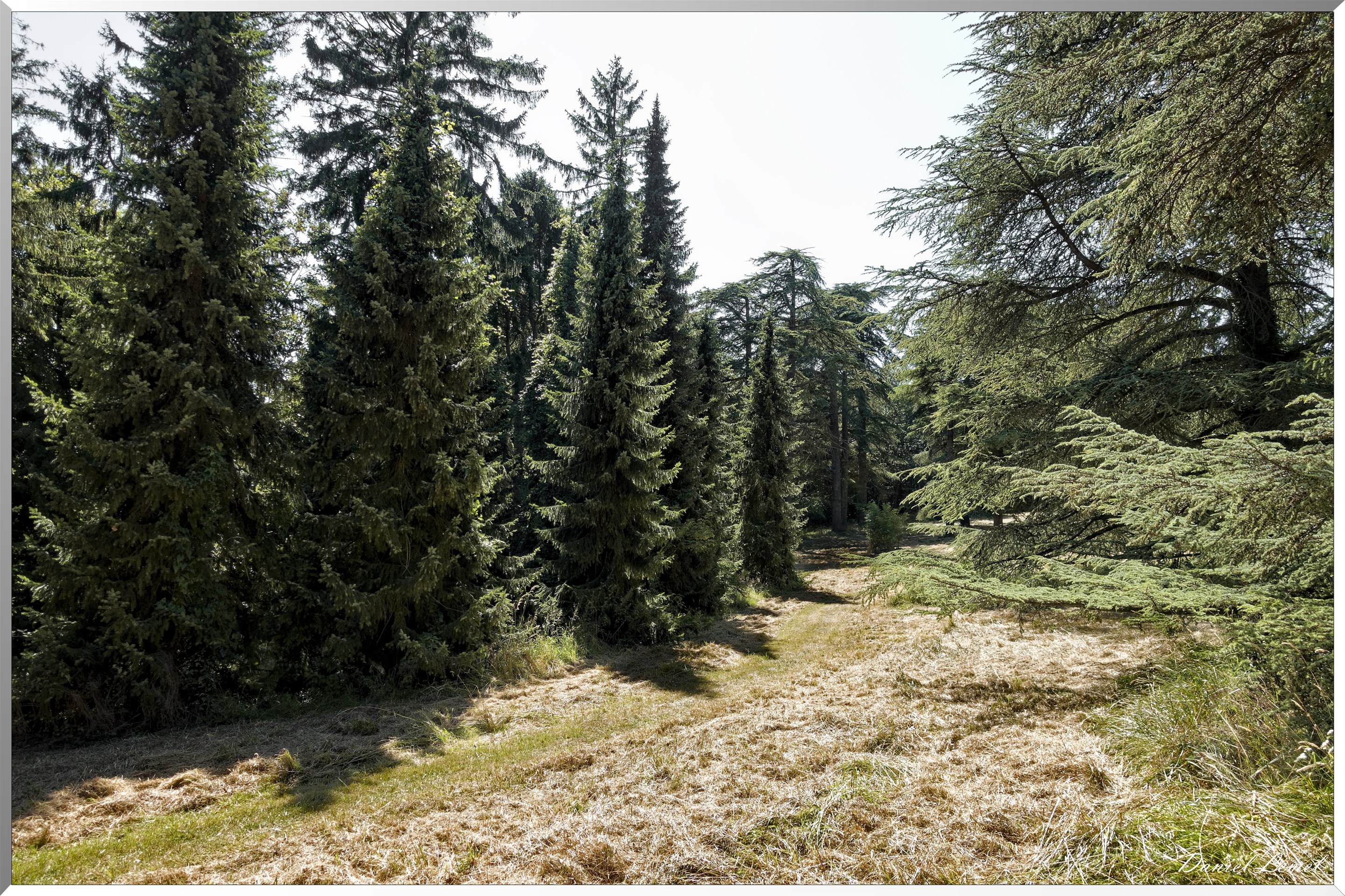 Parc Calouste Gulbenkian