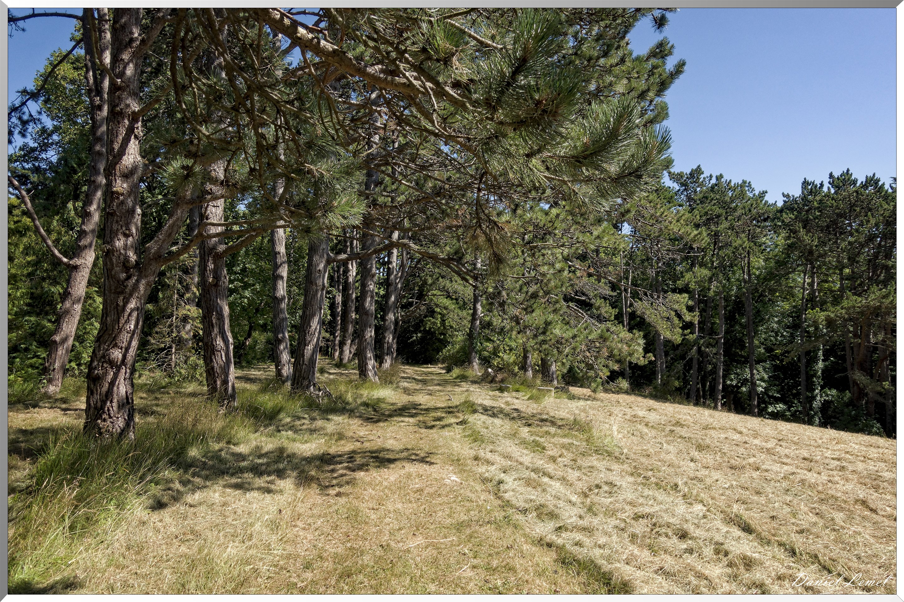 Parc Calouste Gulbenkian
