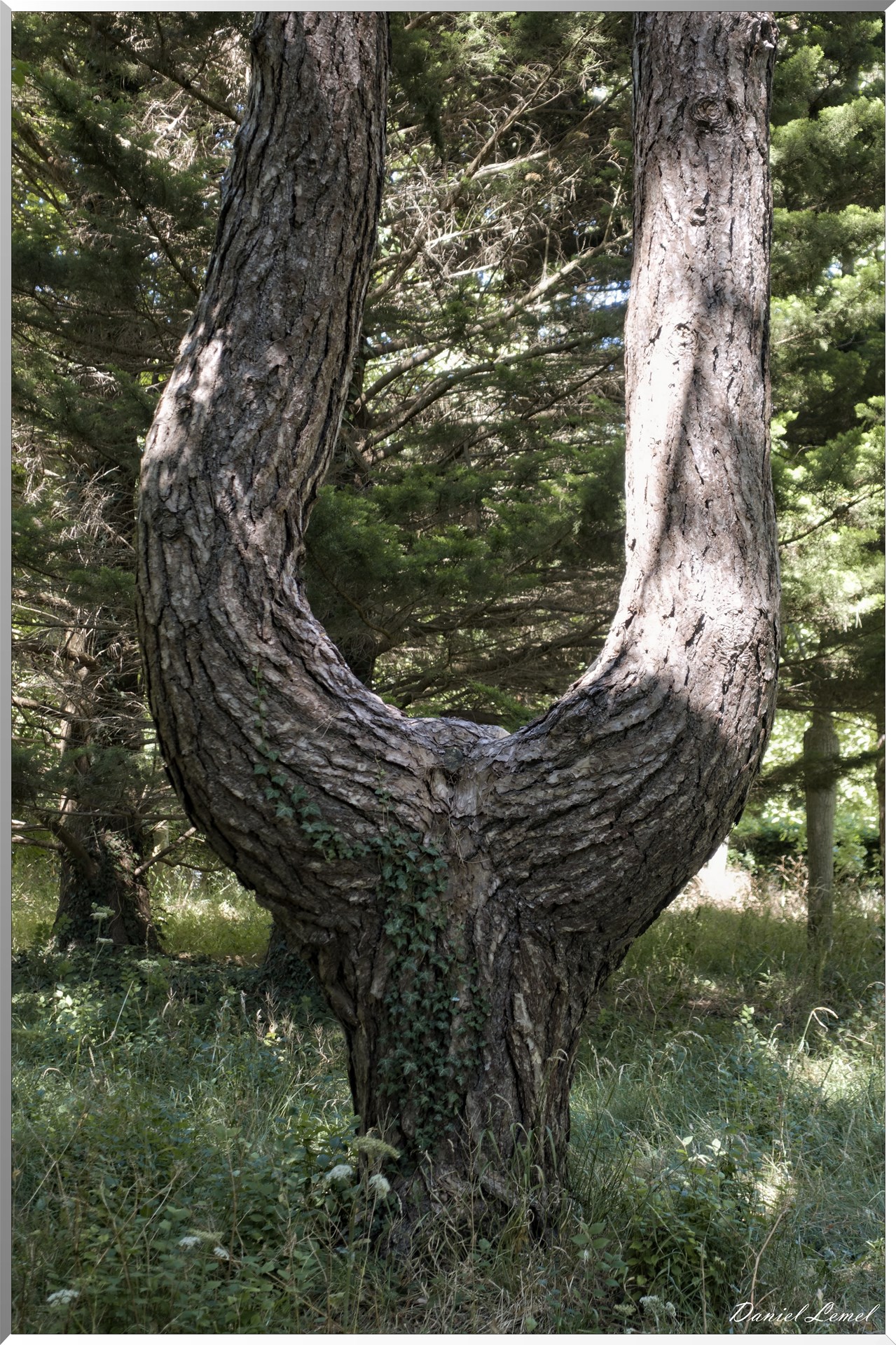 Parc Calouste Gulbenkian