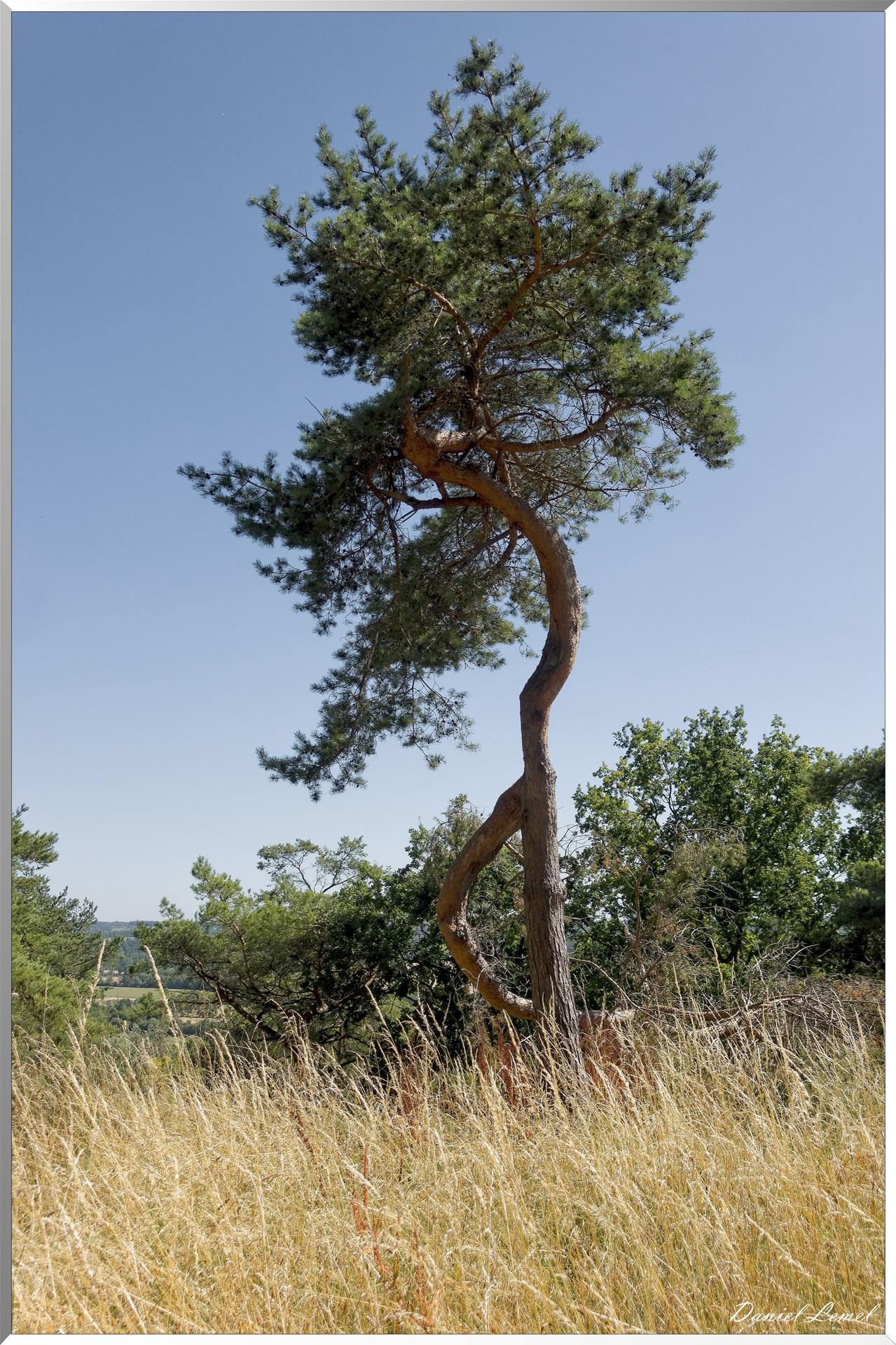Parc Calouste Gulbenkian