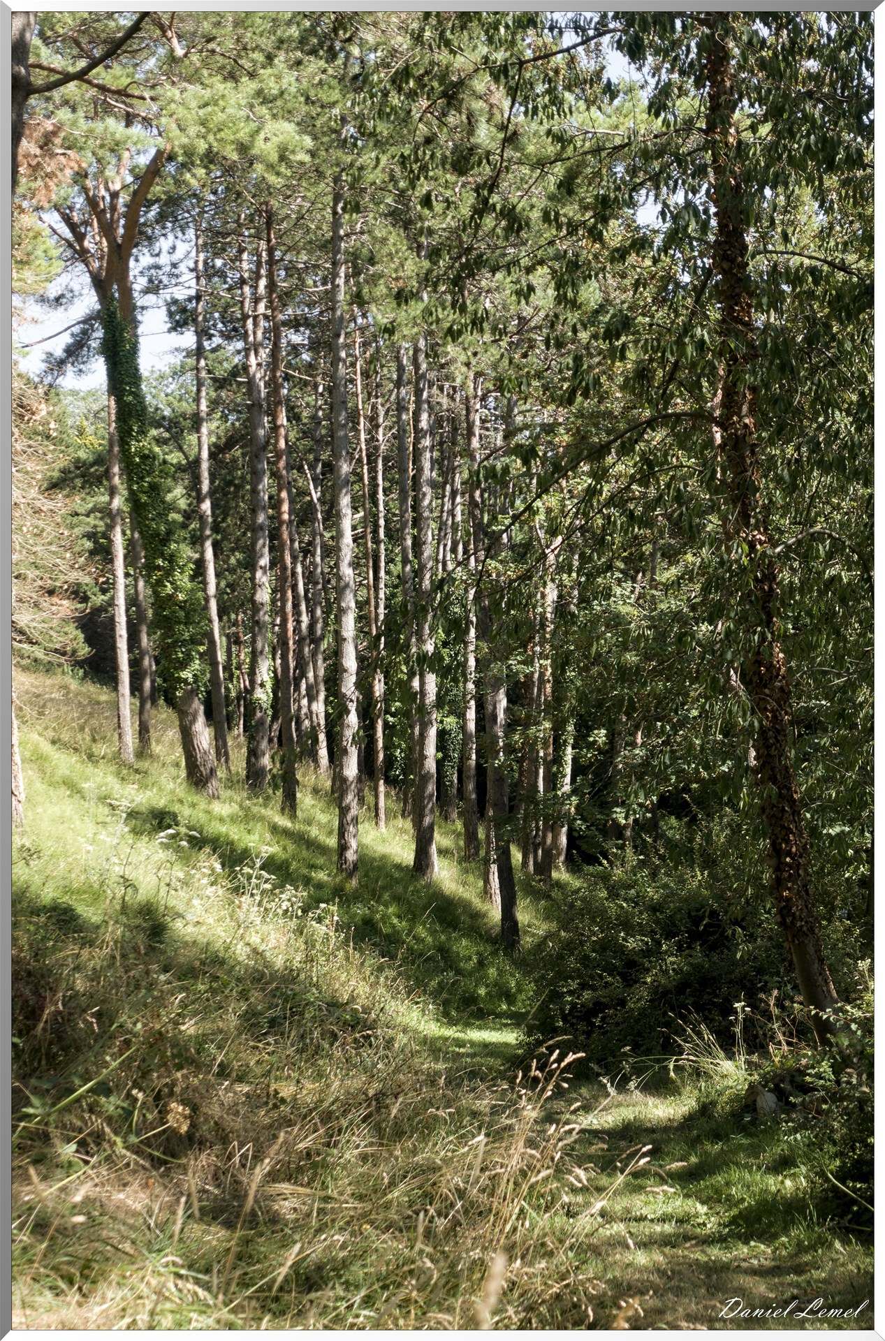 Parc Calouste Gulbenkian