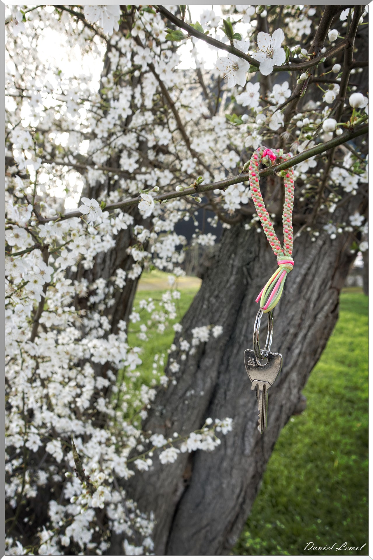 Clé recherche propriétaire