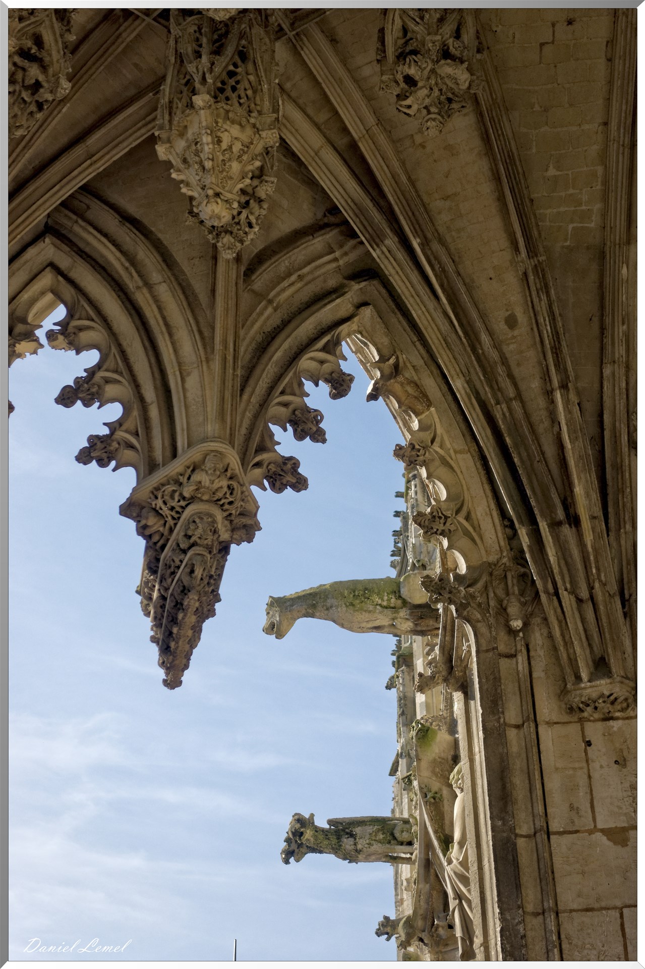  DSC8583 DxOW