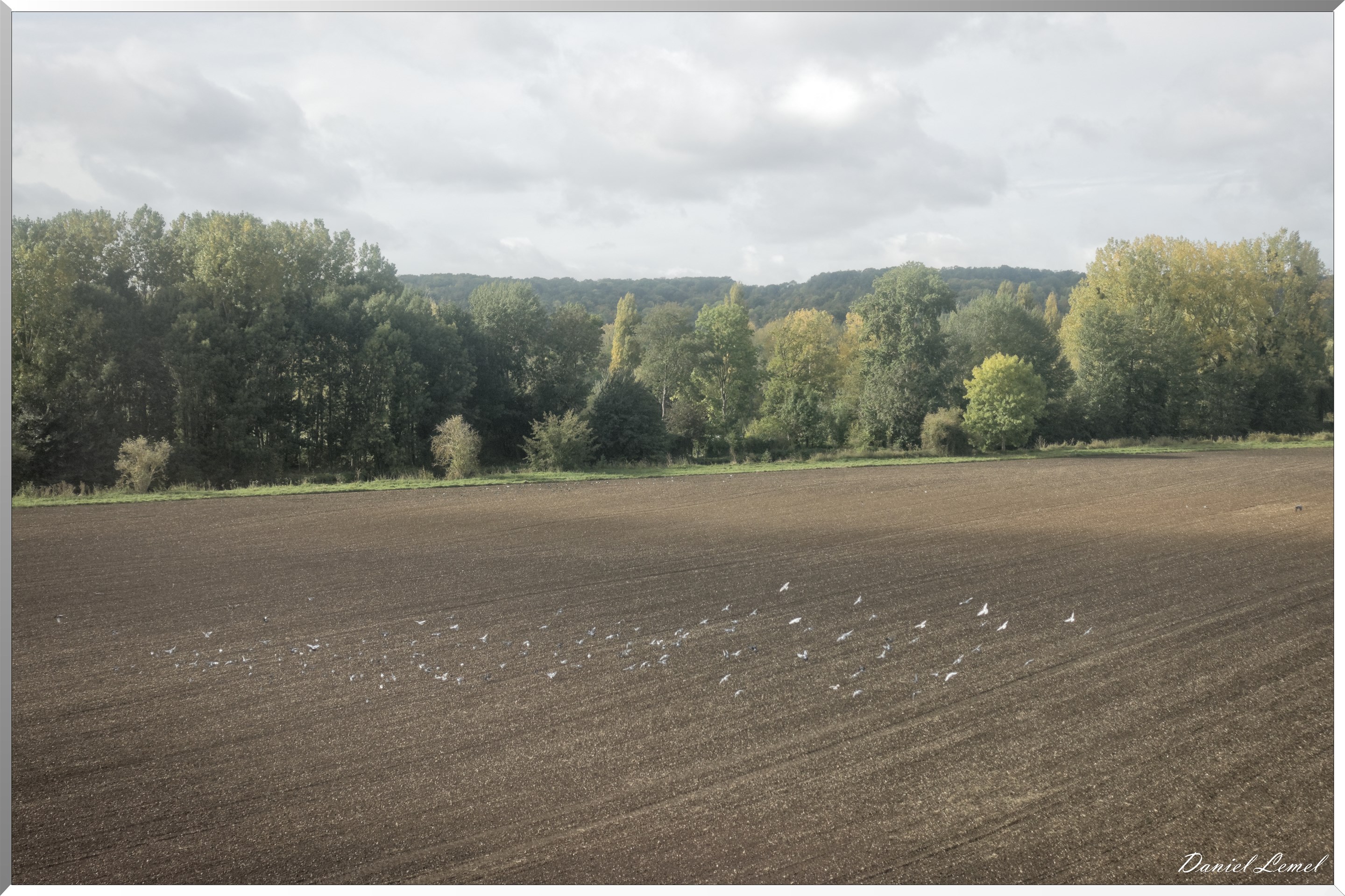 Chemin de fer de la vallée de l'Eure