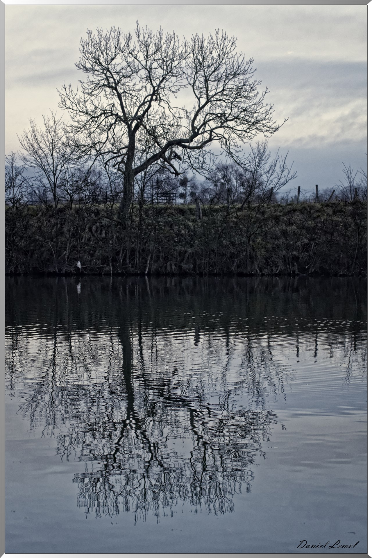 Bord de Seine le matin