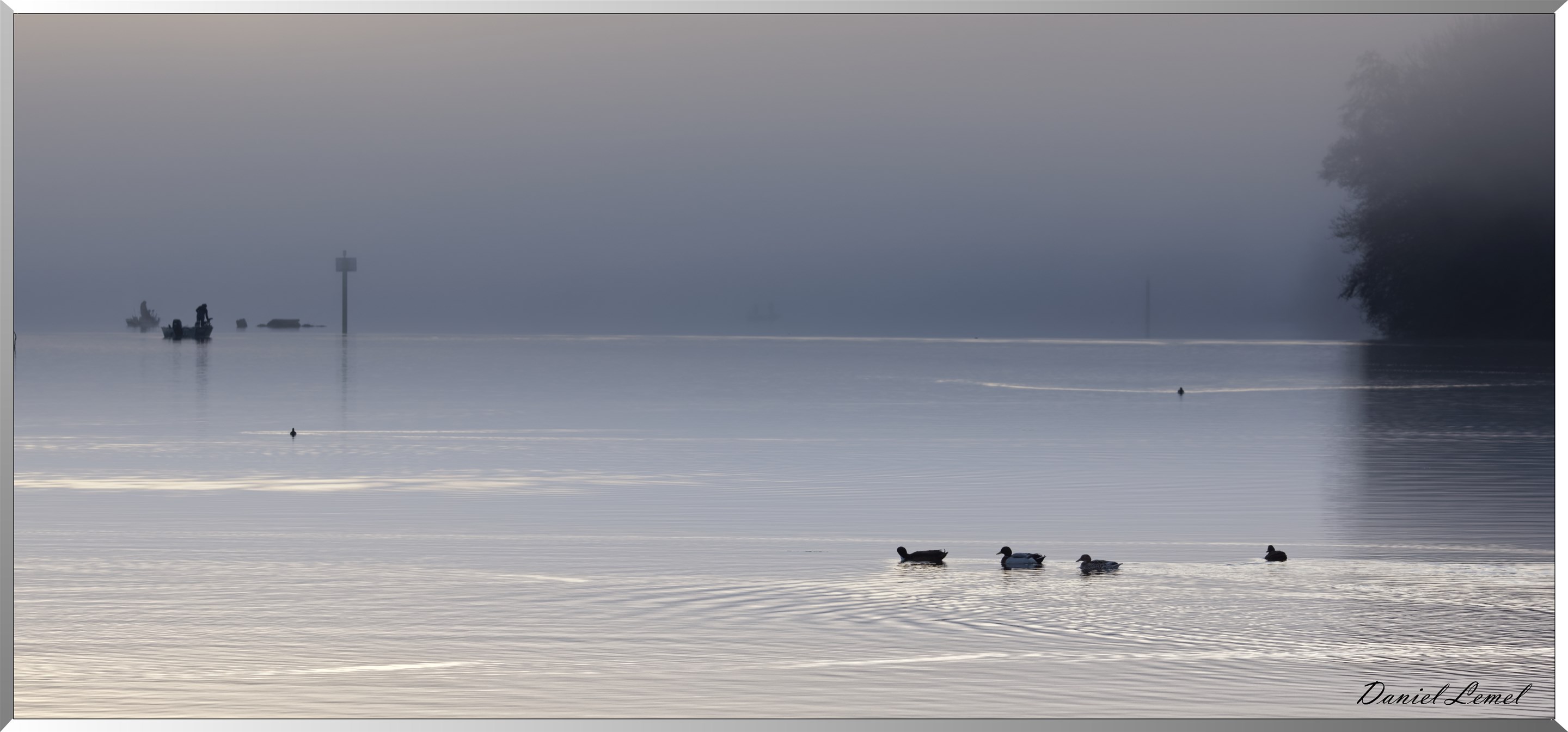 Bord de Seine le matin