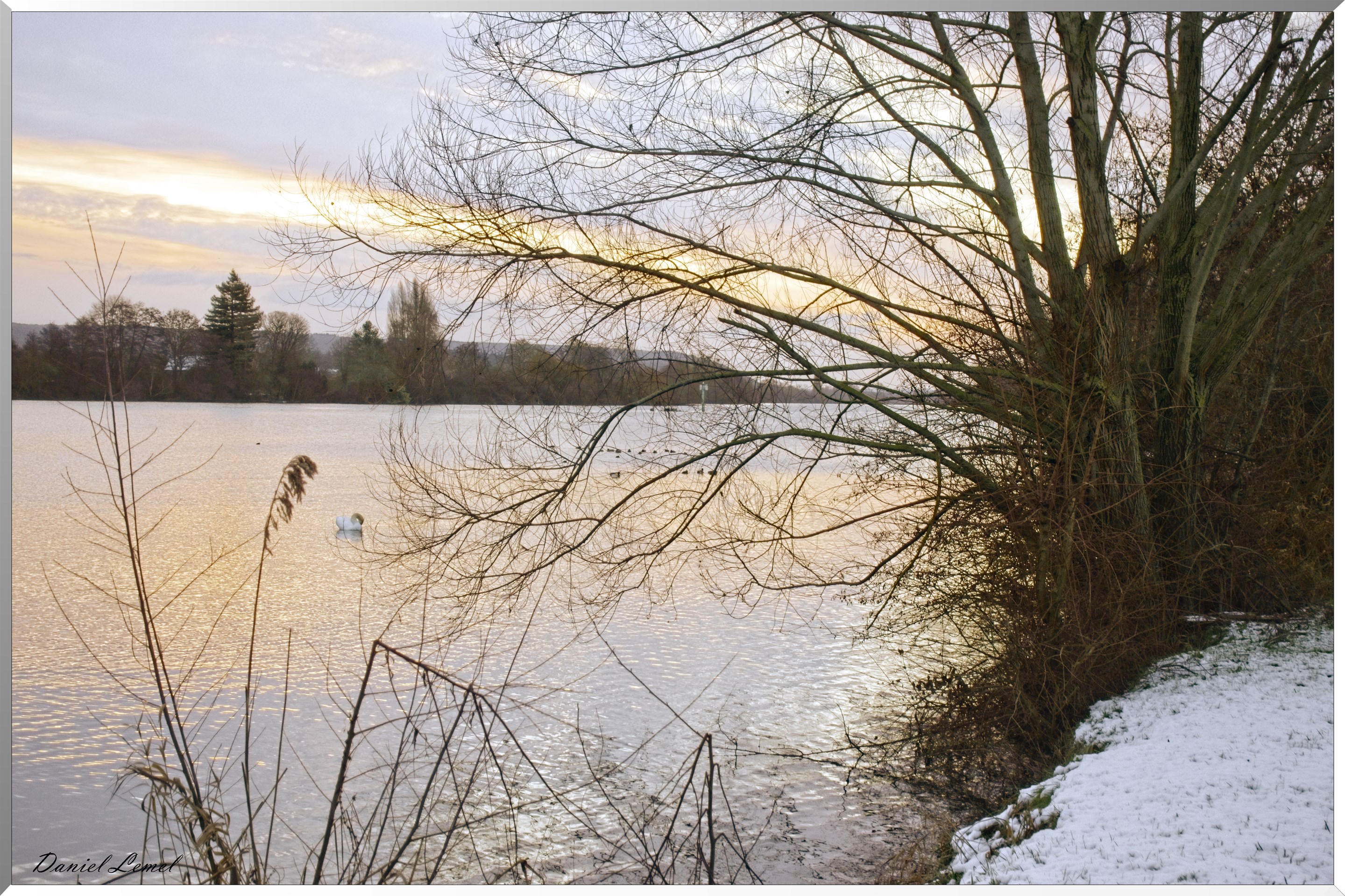 Bord de Seine au petit matin