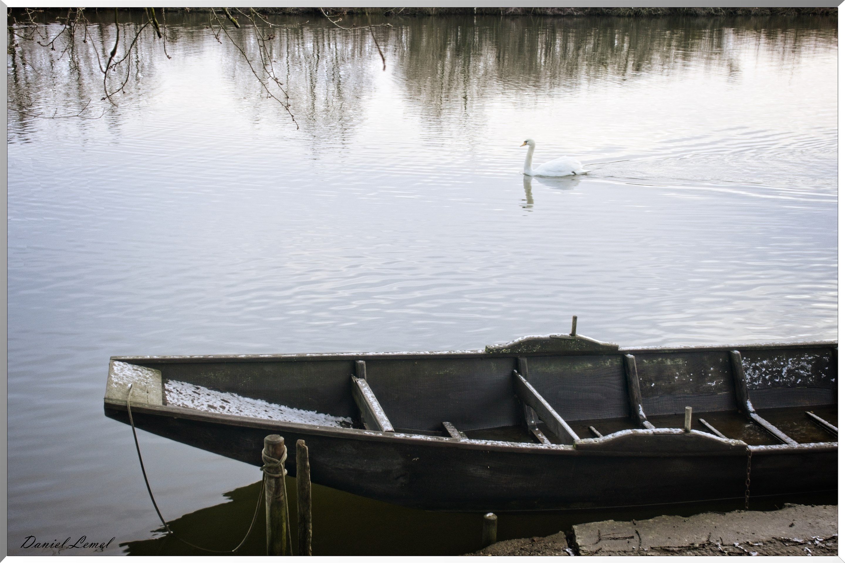 Bord de Seine au petit matin