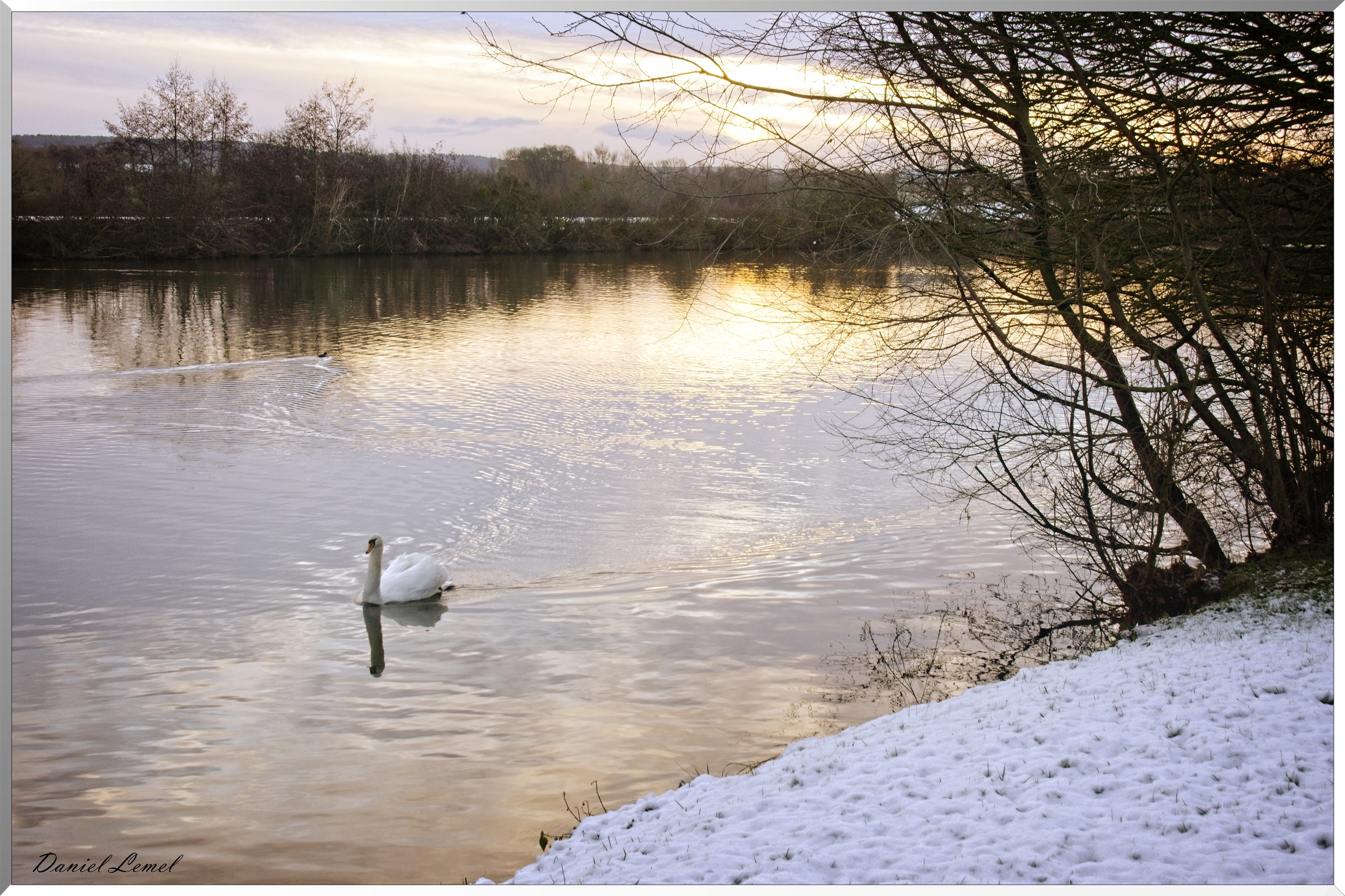 Bord de Seine au petit matin
