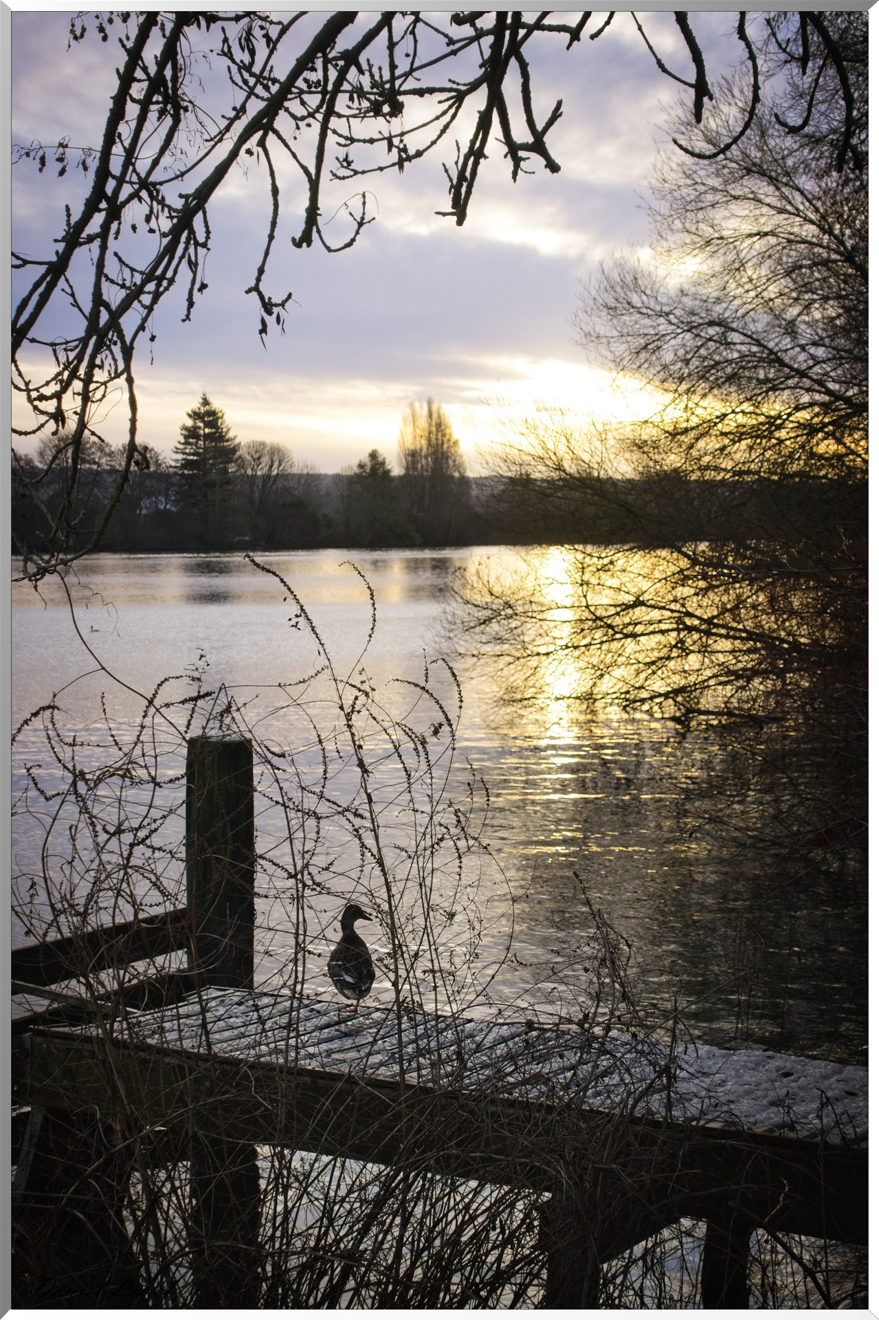 Bord de Seine au petit matin