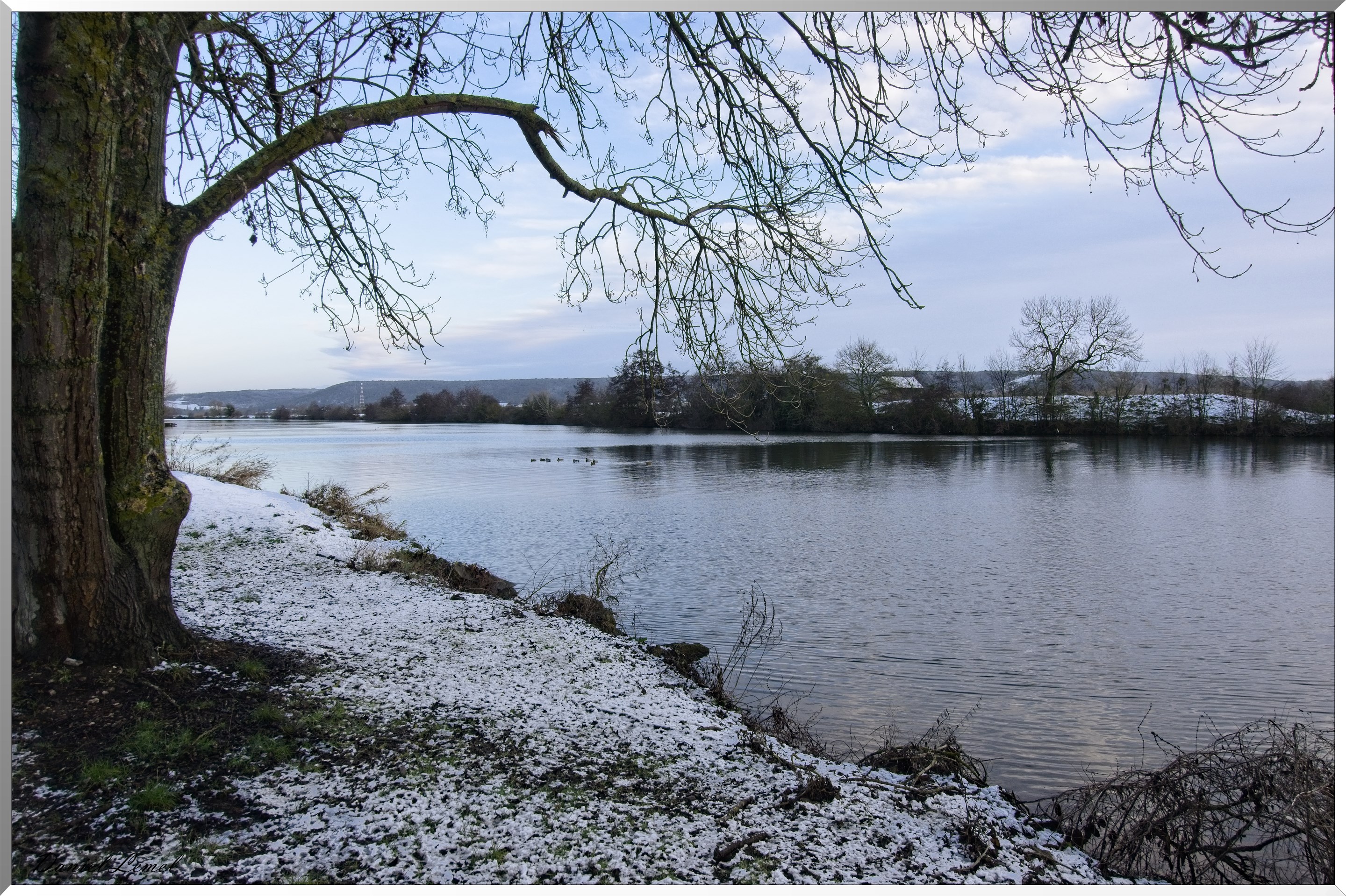 Bord de Seine au petit matin