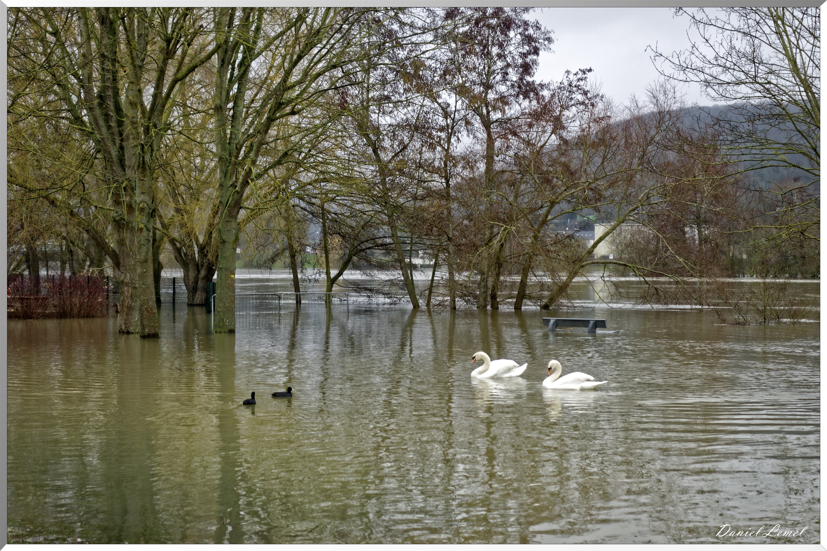 Bord de seine à Vernon