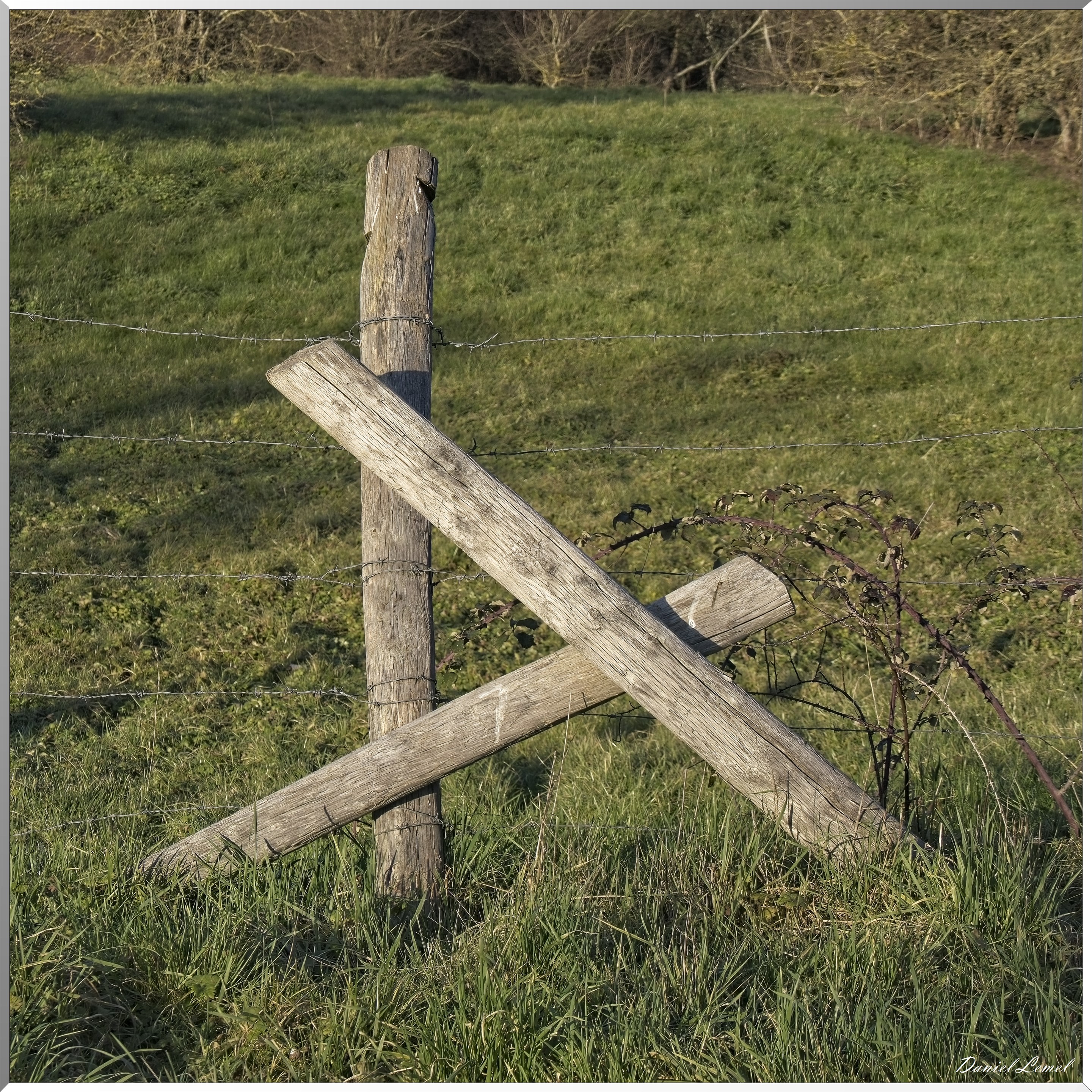 Voie verte à Vernonnet