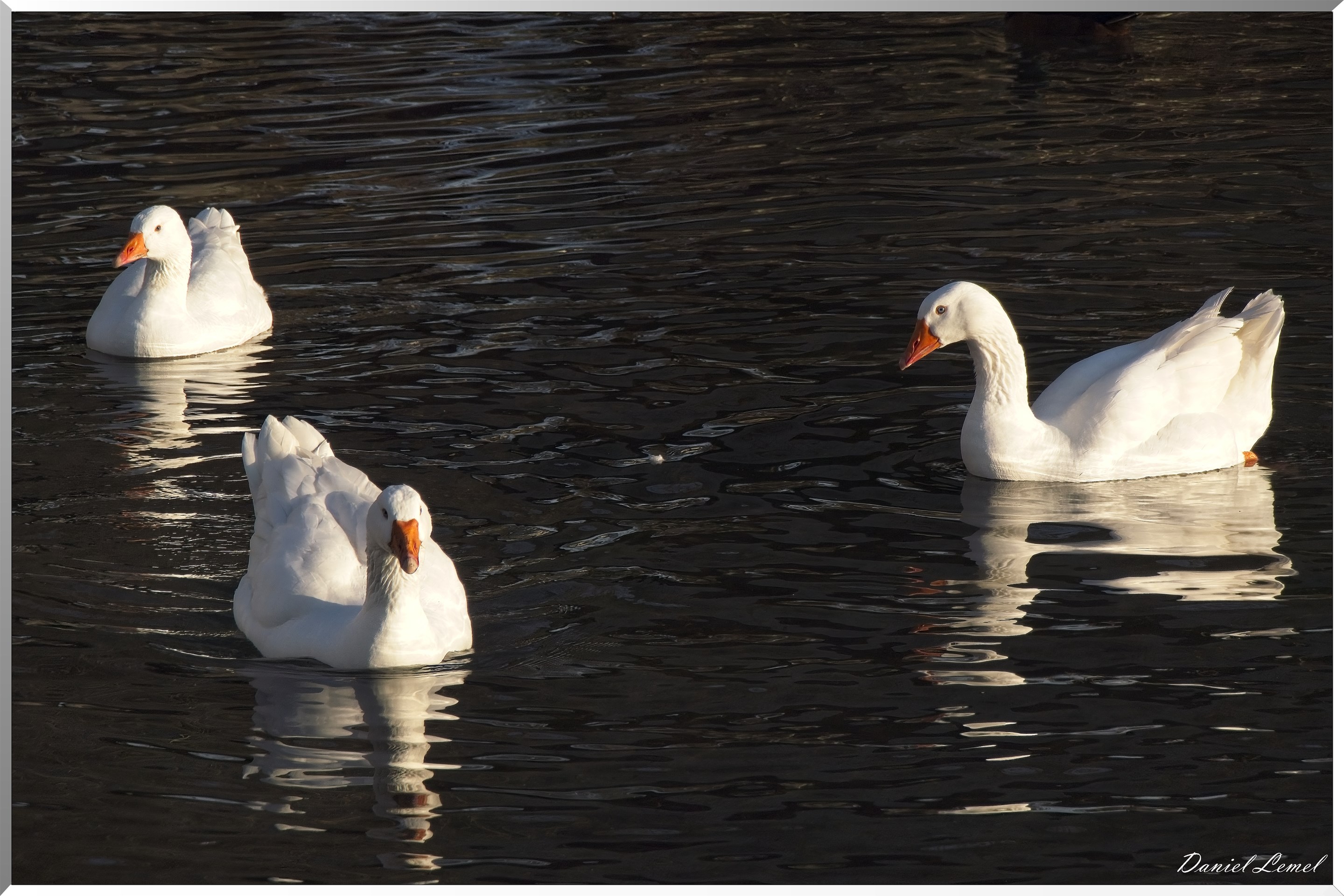 Voie verte à Vernonnet