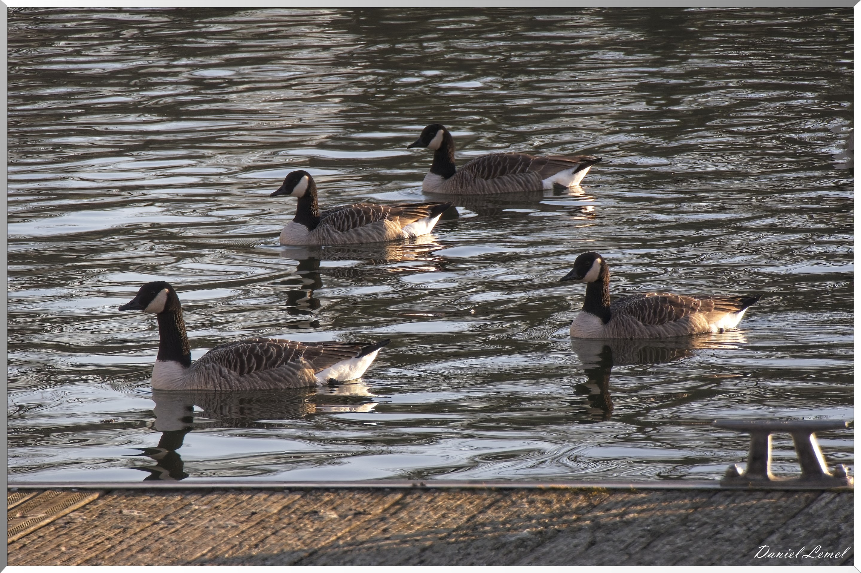 Voie verte à Vernonnet
