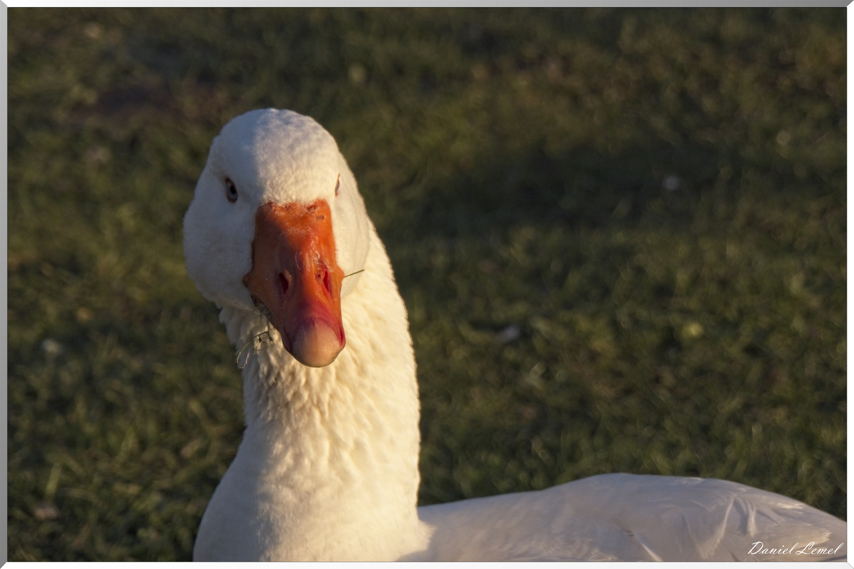 Voie verte à Vernonnet