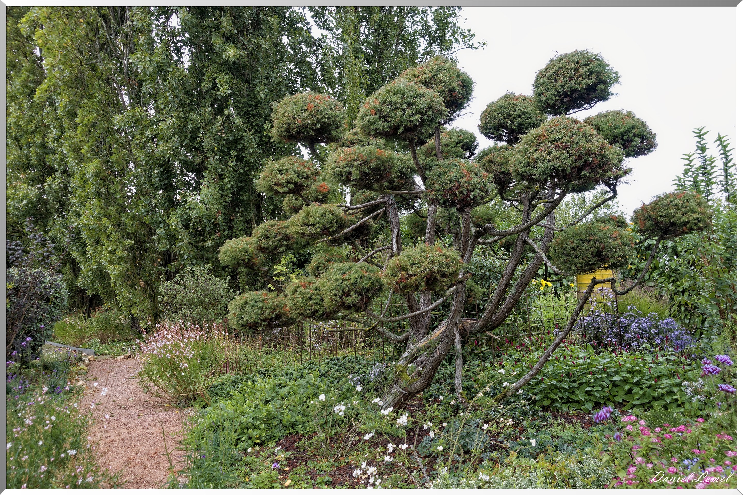 Le jardin de Michèle et Roger