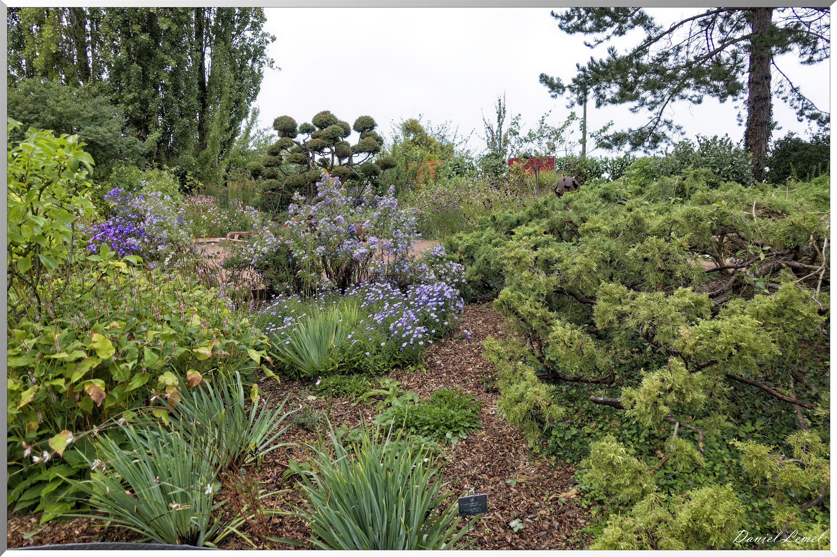 Le jardin de Michèle et Roger