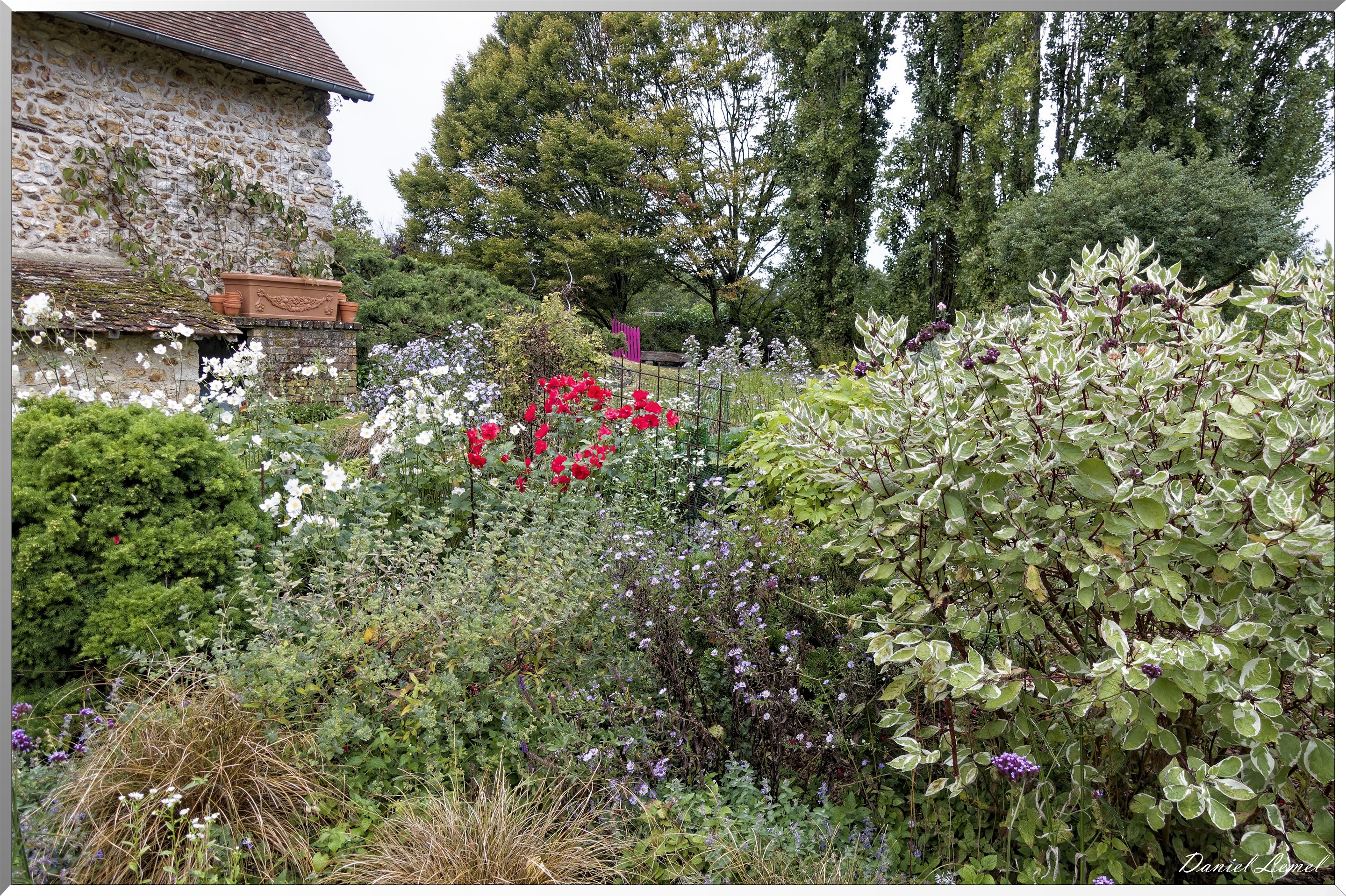 Le jardin de Michèle et Roger