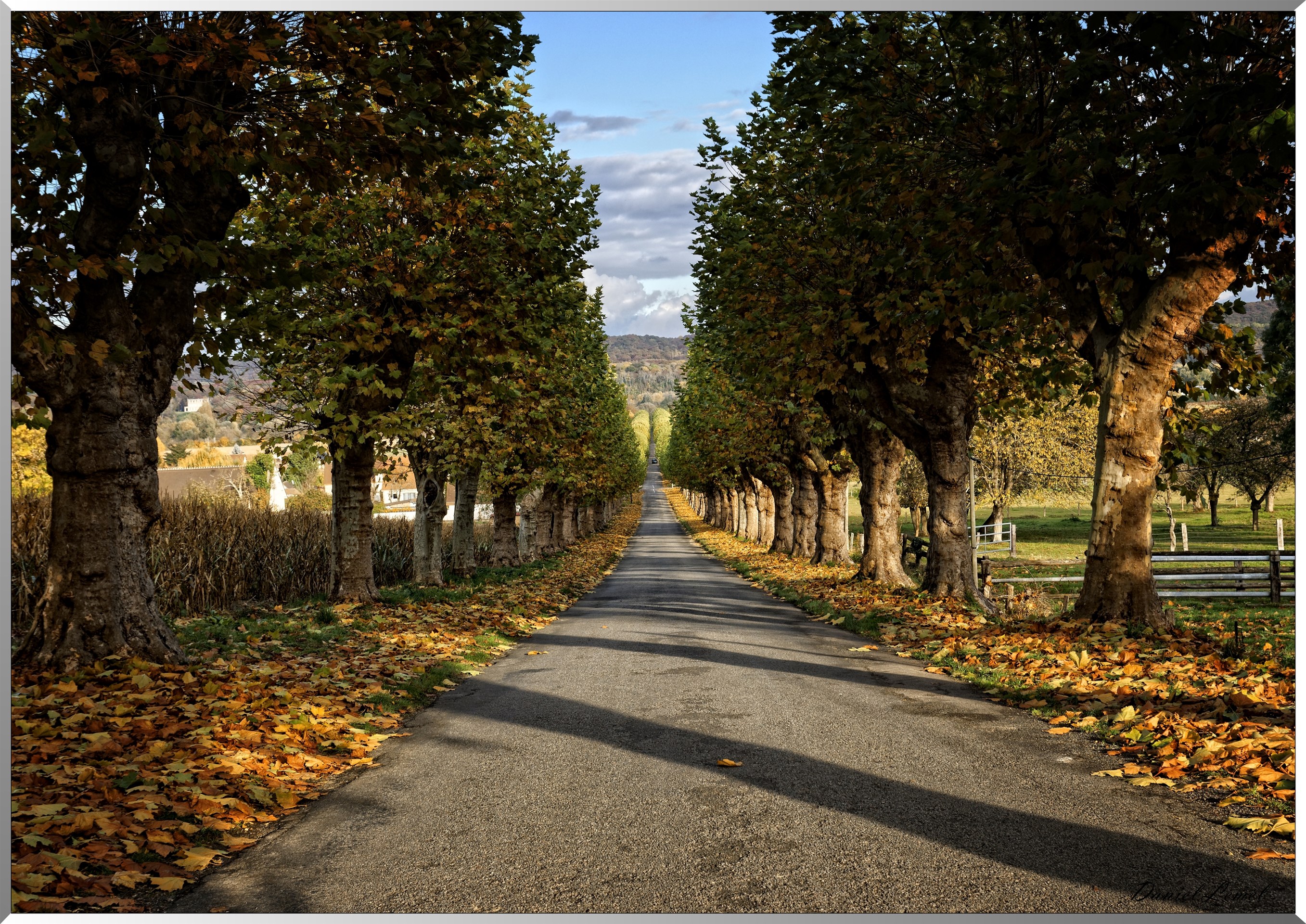 Allée du château de Saint-Just