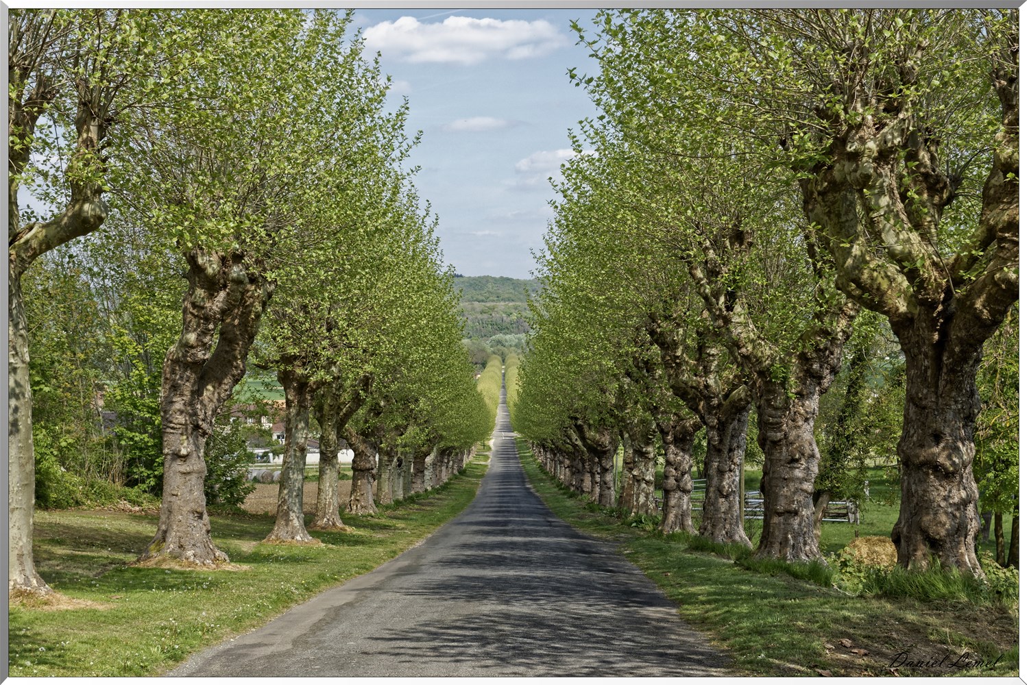 Allée du château de Saint-Just