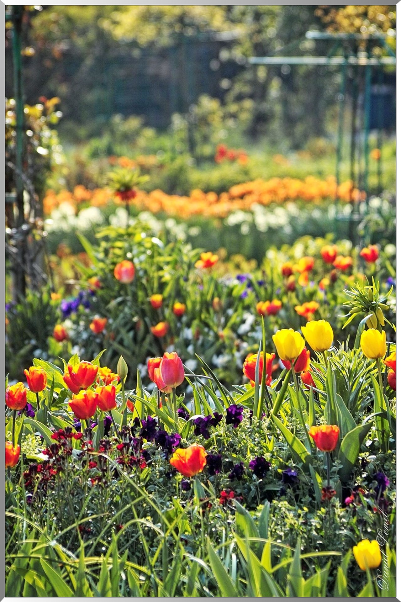 Giverny - la maison de Claude monet - 30 Mai 2004