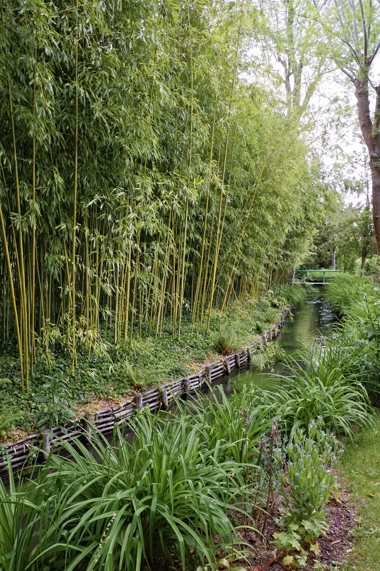 Giverny - la maison de Claude monet - 17 Mai 2017