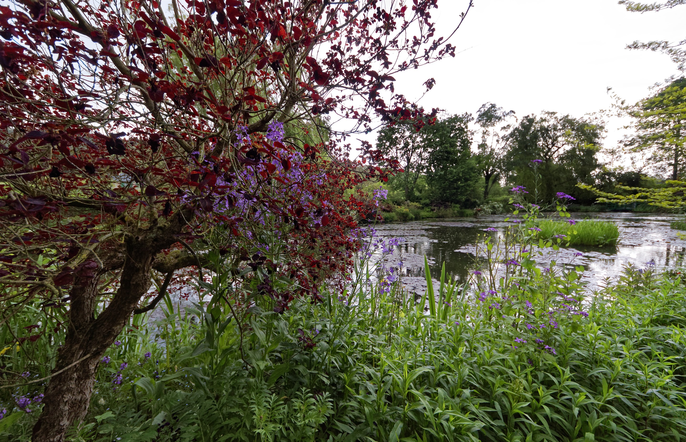 Giverny - la maison de Claude monet - 17 Mai 2017