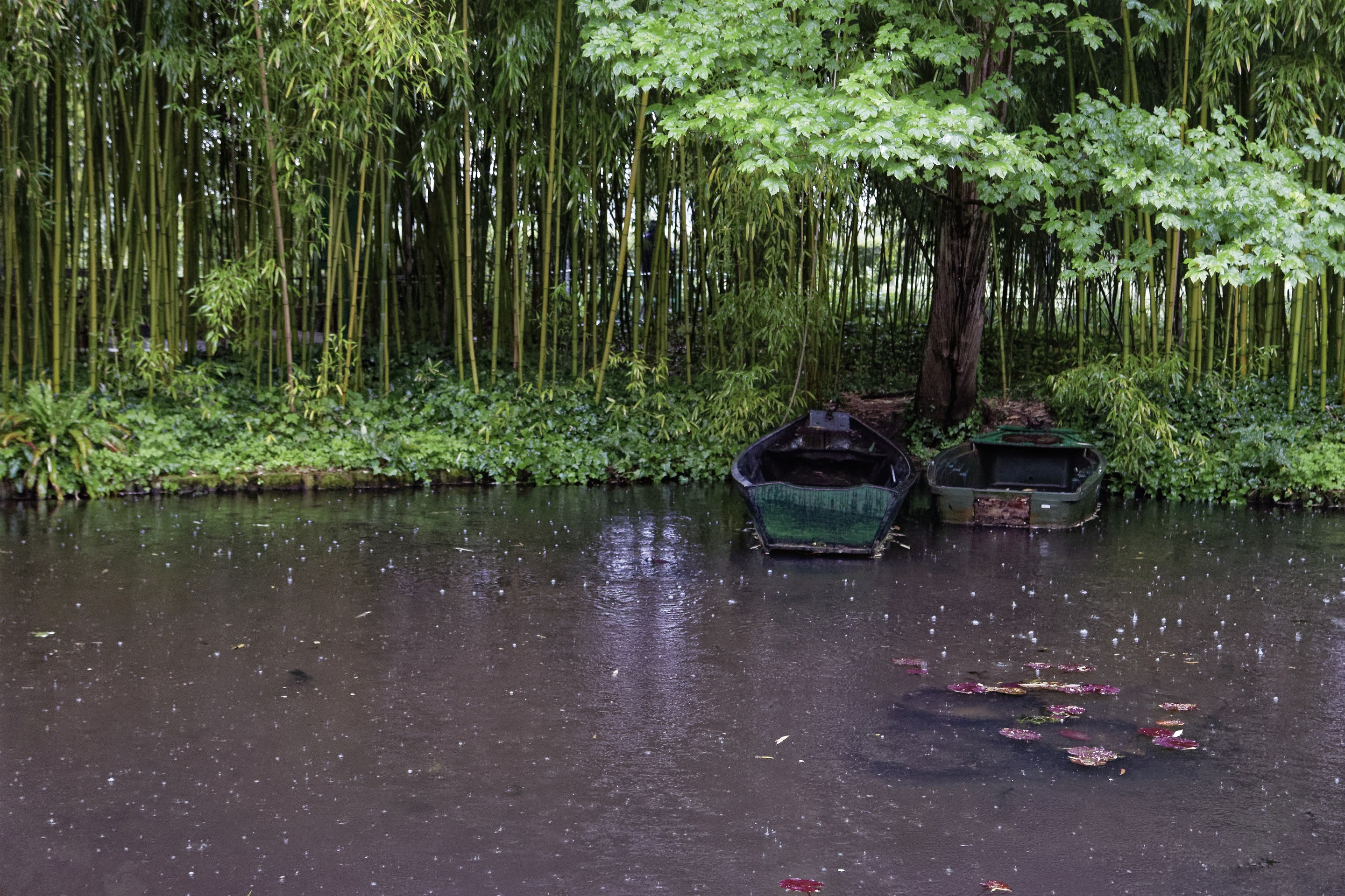 Giverny - la maison de Claude monet - 17 Mai 2017