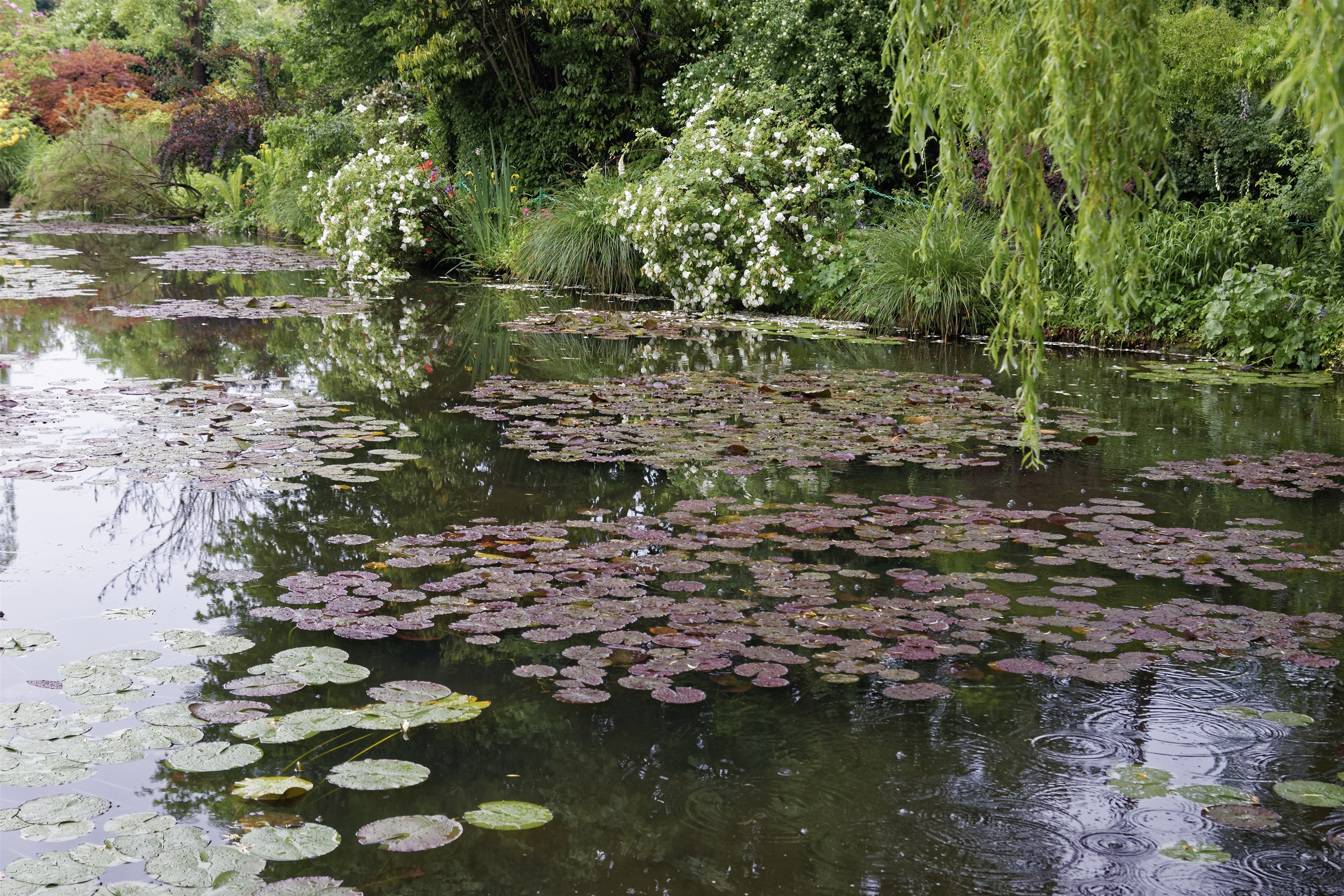 Giverny - la maison de Claude monet - 17 Mai 2017