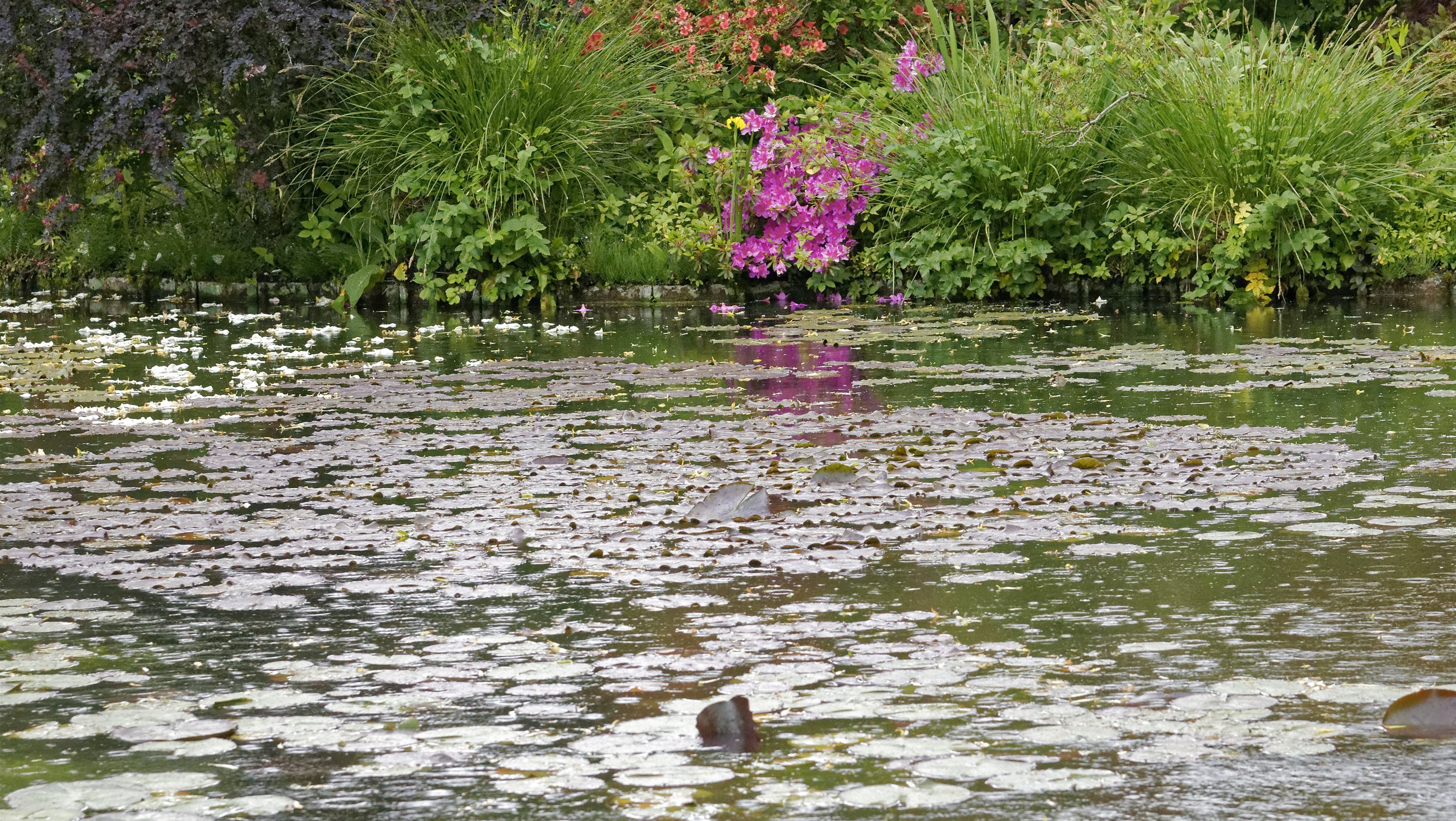 Giverny - la maison de Claude monet - 17 Mai 2017