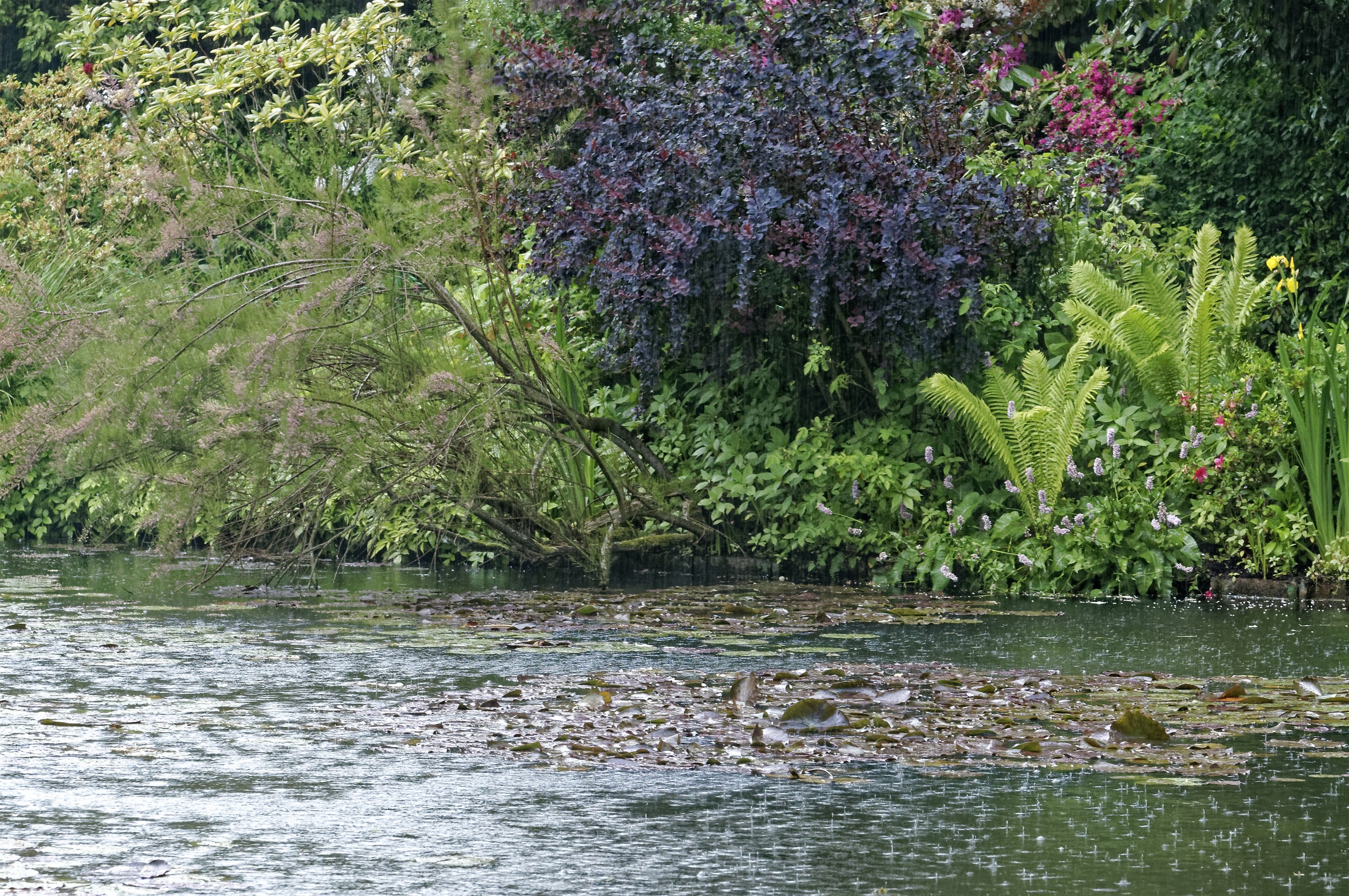 Giverny - la maison de Claude monet - 17 Mai 2017