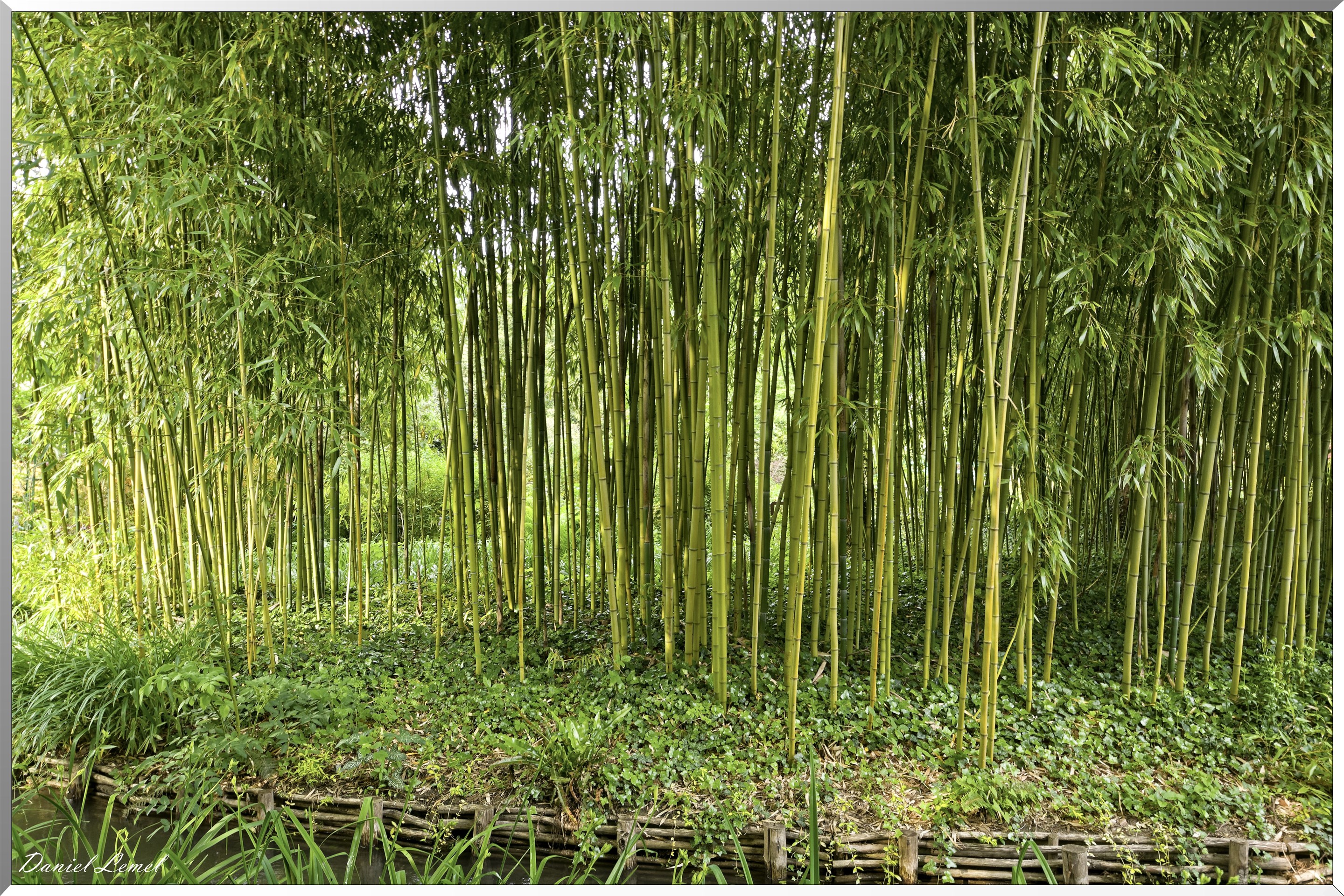 Giverny - la maison de Claude monet - 23 Mai 2018