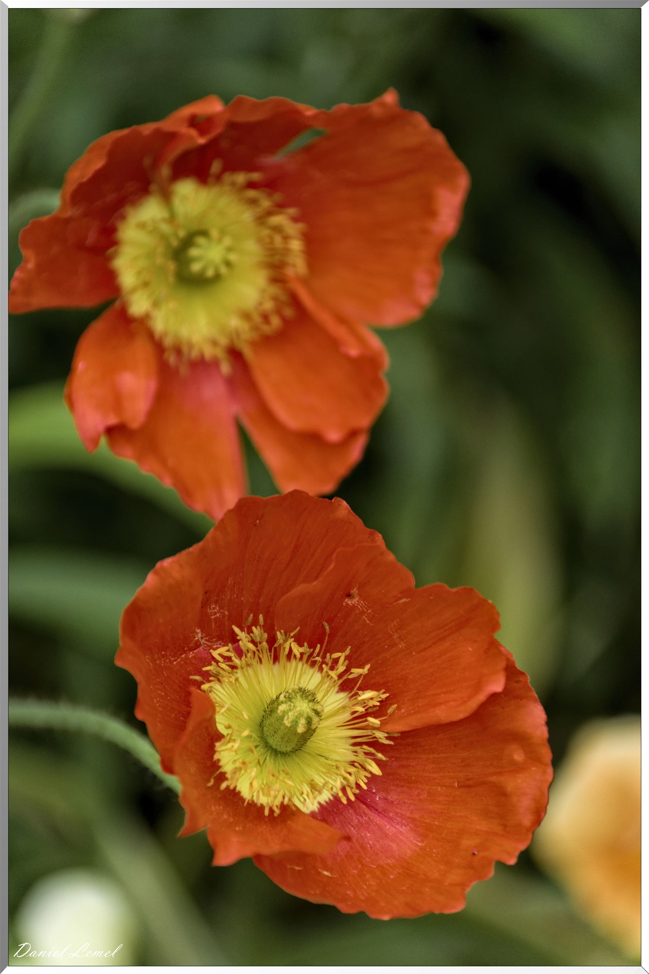 Giverny - la maison de Claude monet - 23 Mai 2018