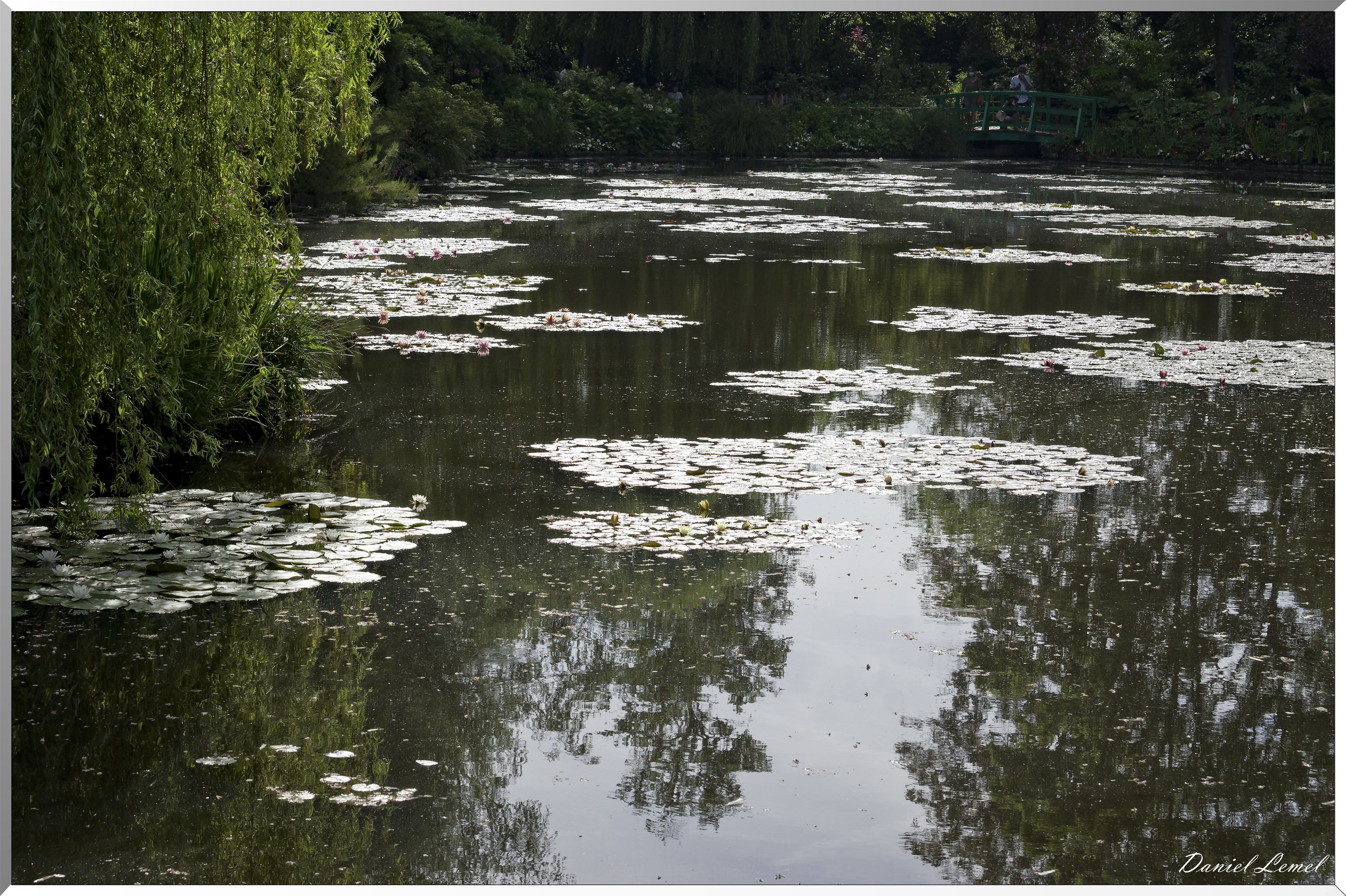 Giverny - la maison de Claude monet - 15 Juin 2021