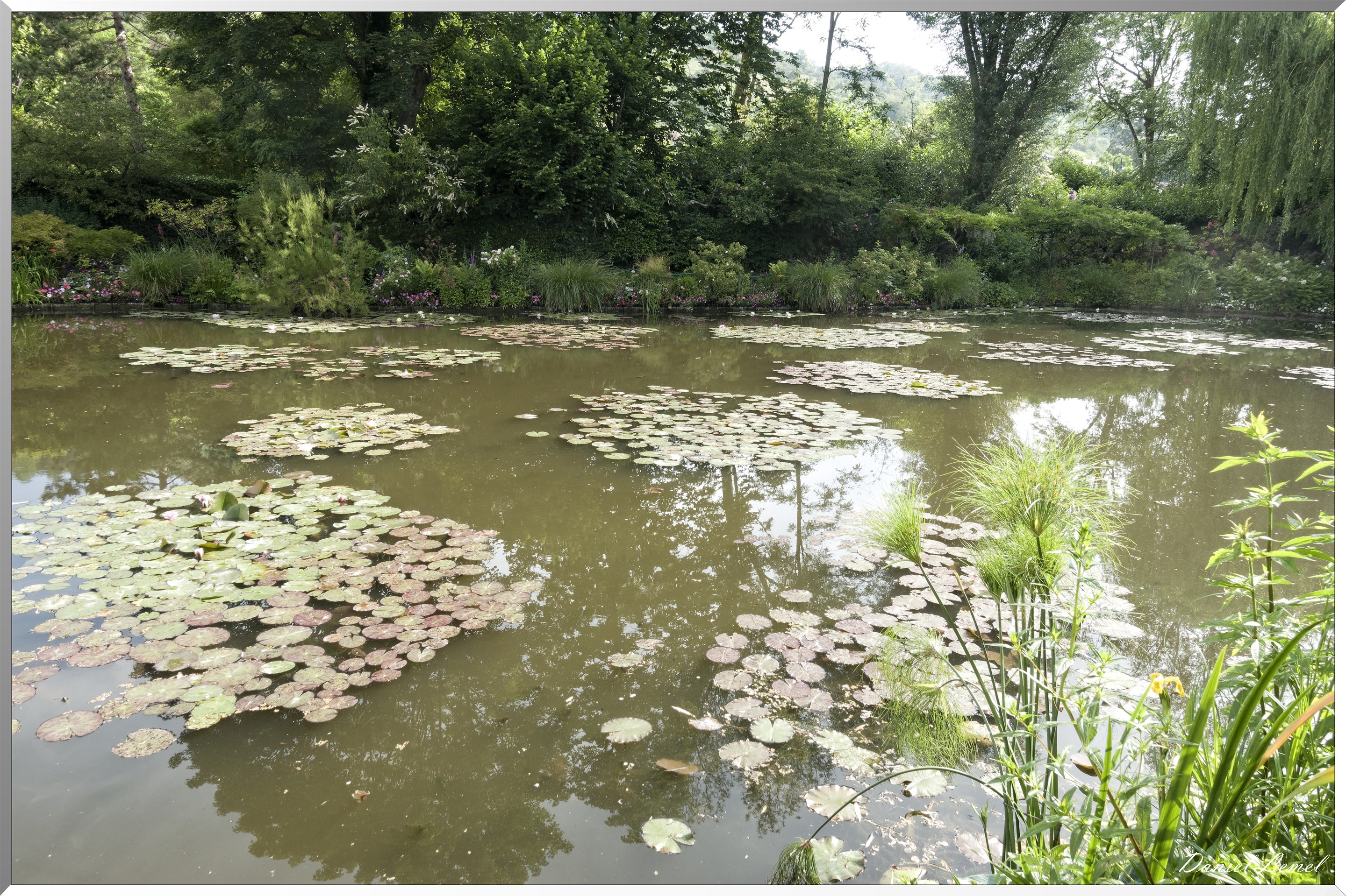 Giverny - la maison de Claude monet - 15 Juin 2021