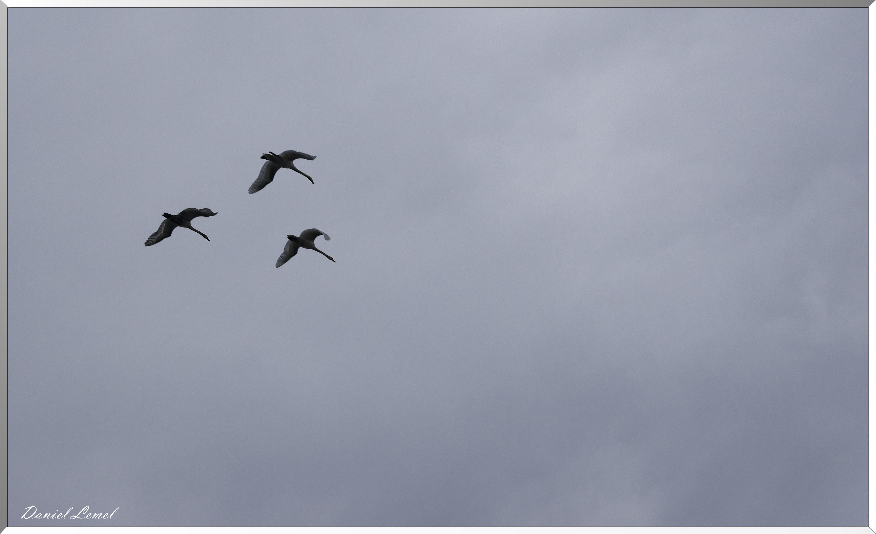 Balade en bateau aux alentours des Andelys
