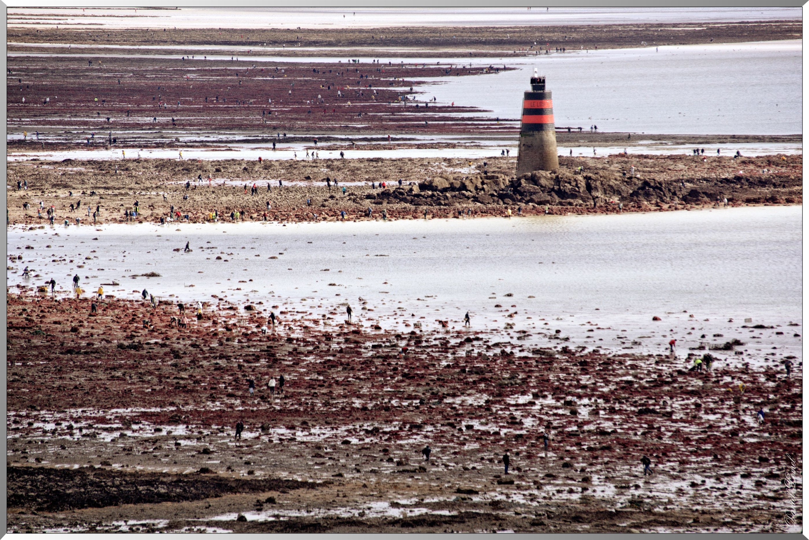 Tourelle du loup à marrée basse - grandes marée