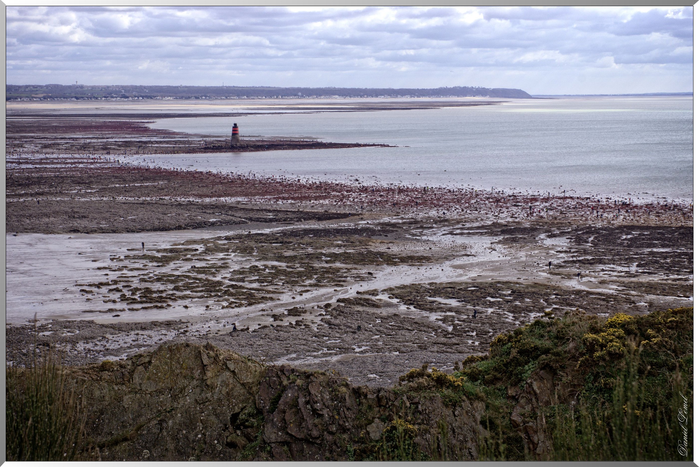 Tourelle du loup à marrée basse - grandes marée