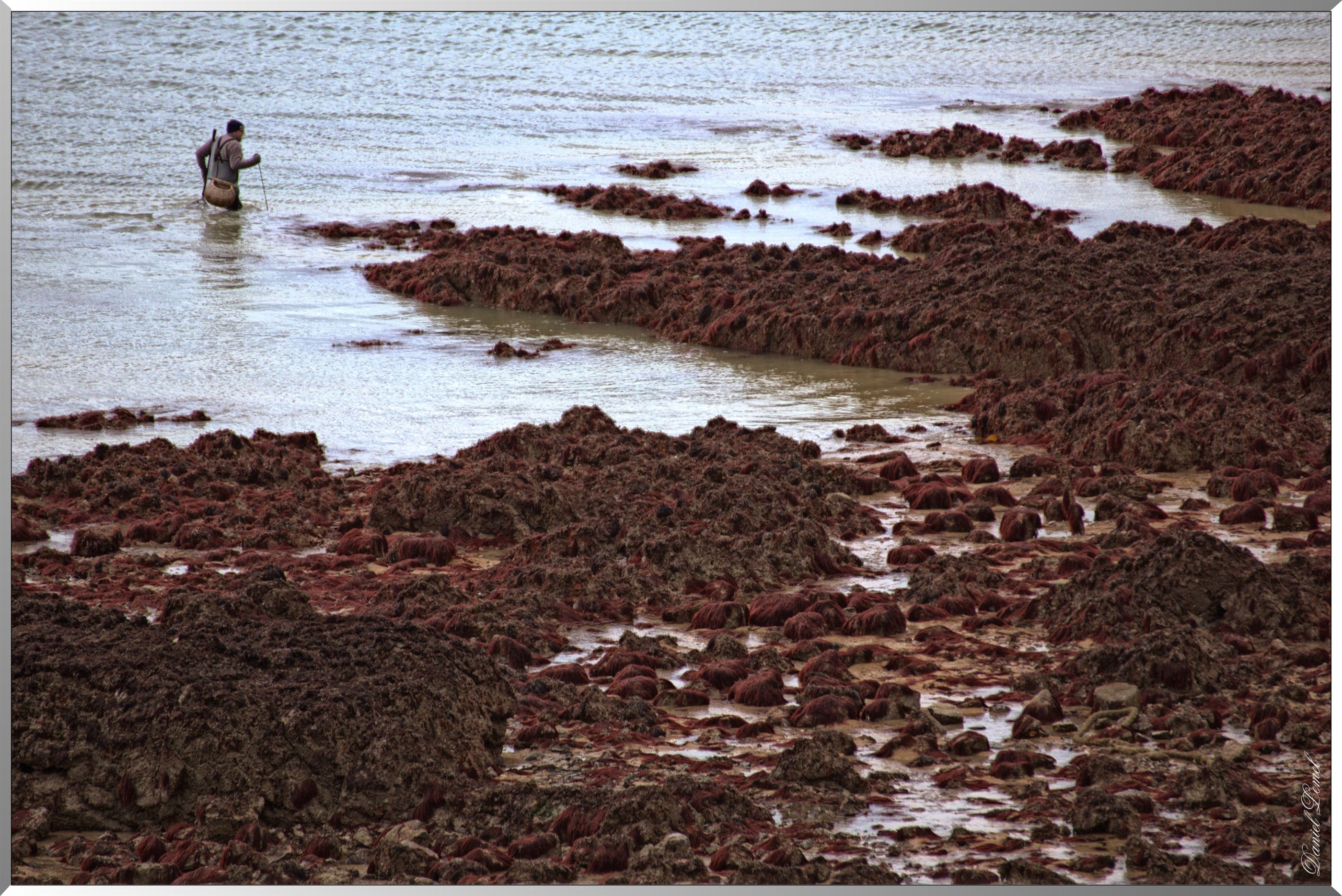 Pêche à marrée basse - grandes marées