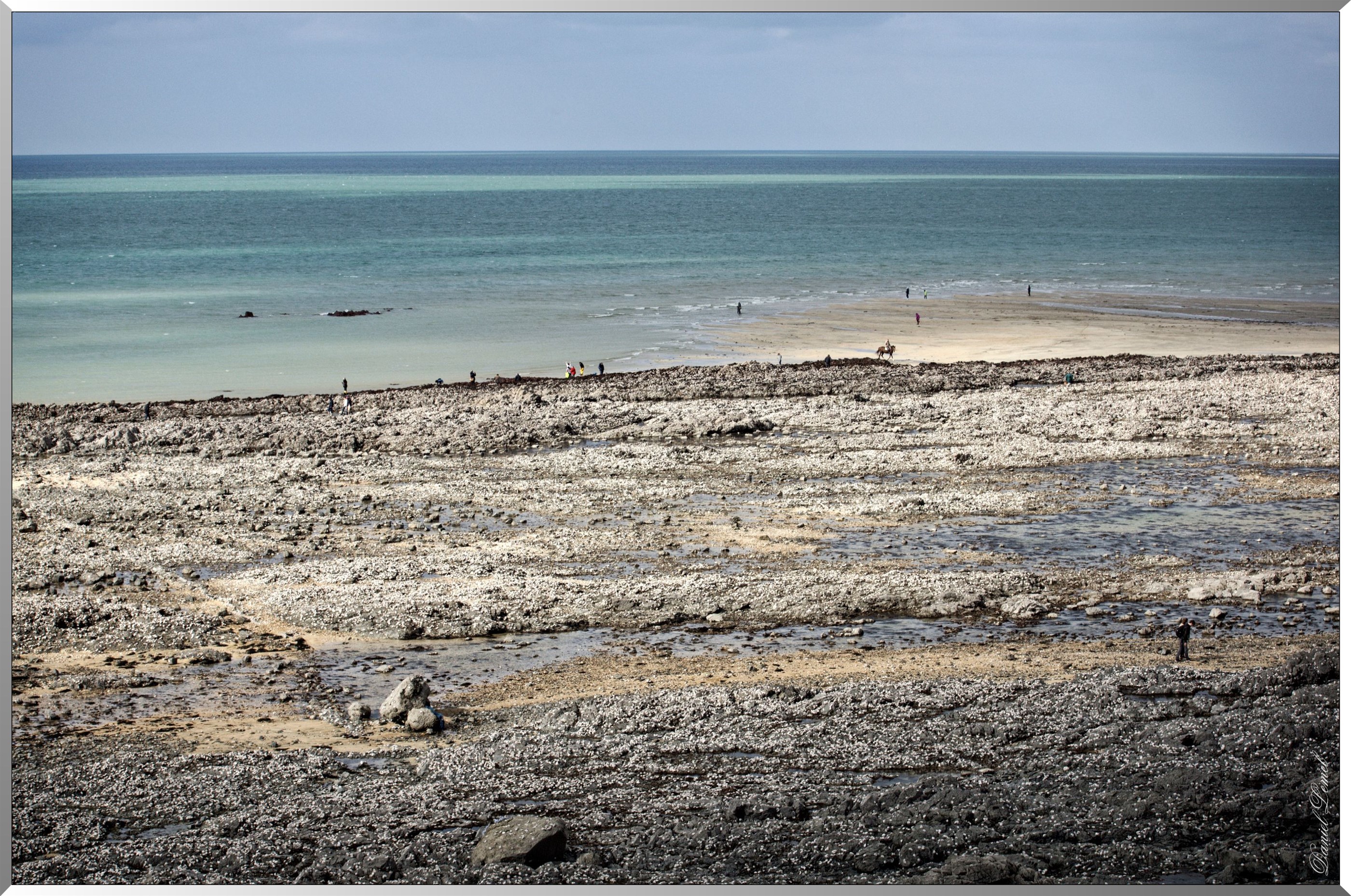 Pêche à marée basse - Grandes marées