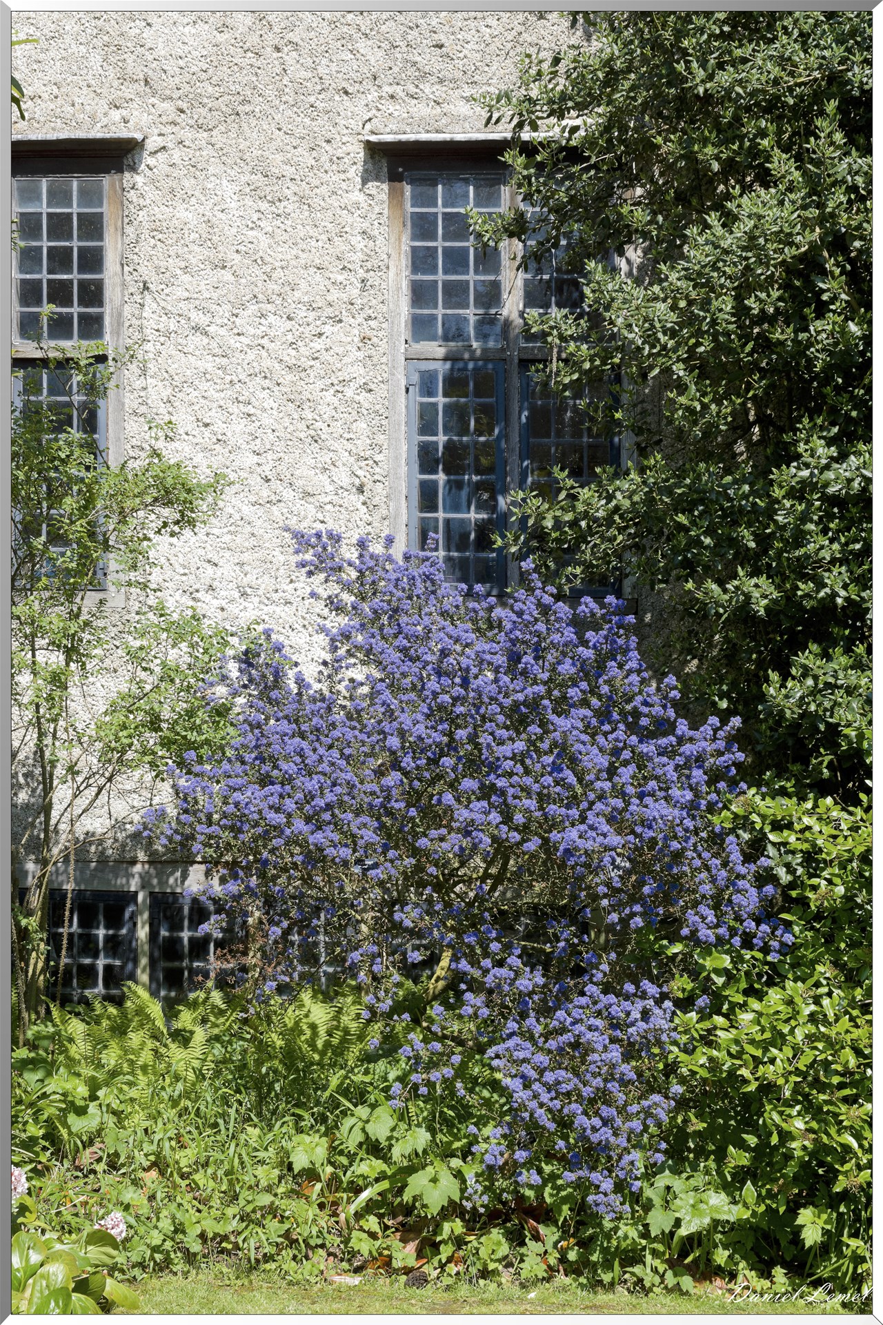 Parc du Bois des Moutiers