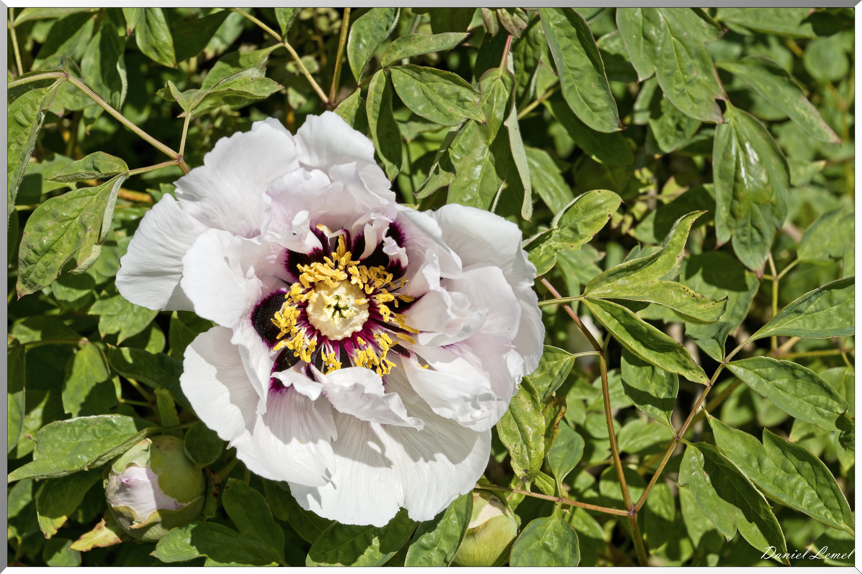 Parc du Bois des Moutiers