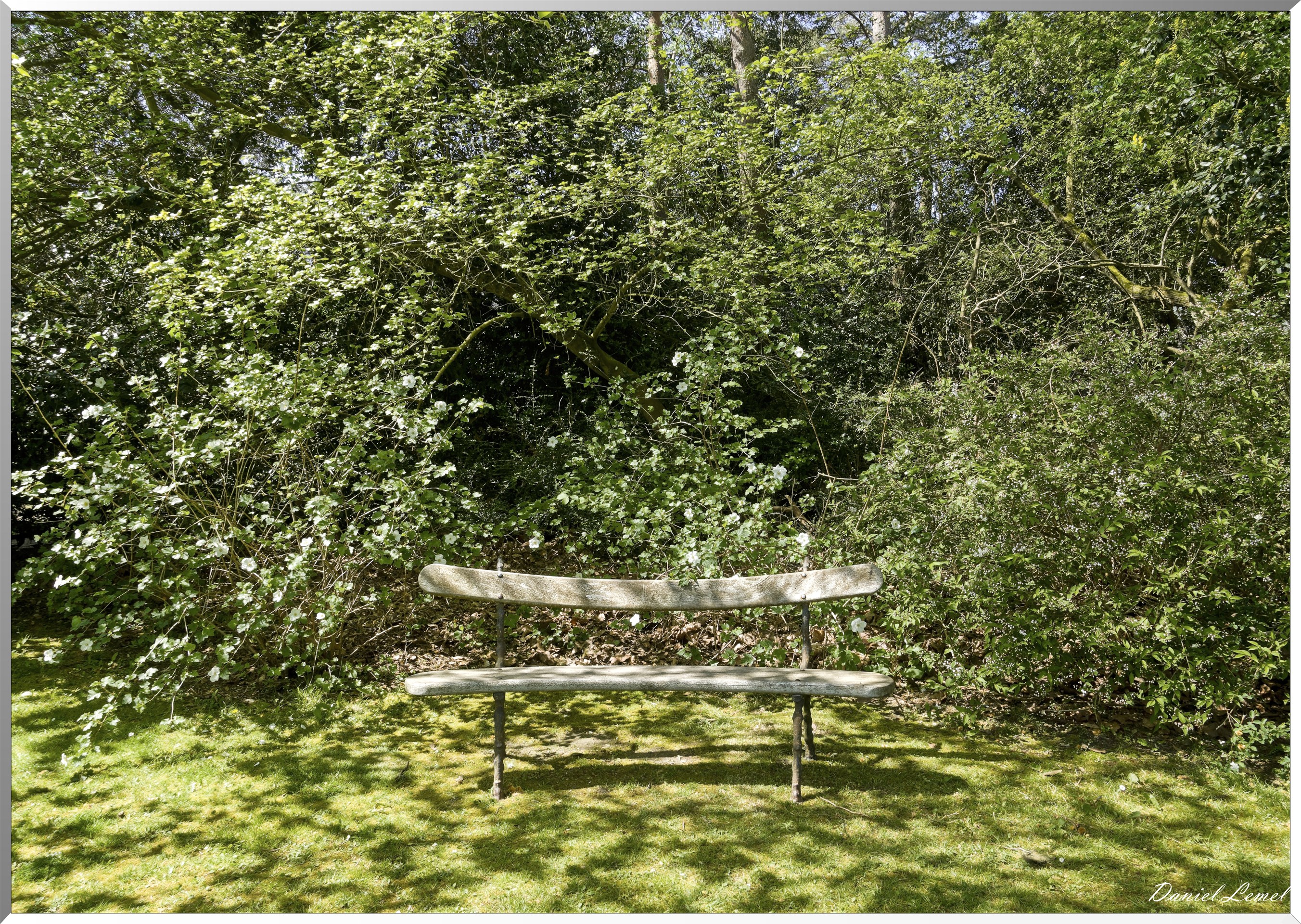 Parc du Bois des Moutiers