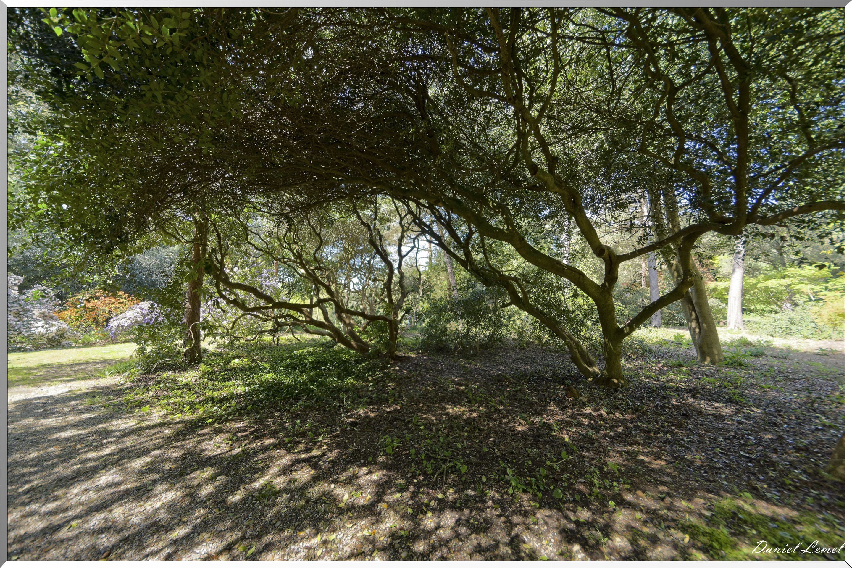 Parc du Bois des Moutiers