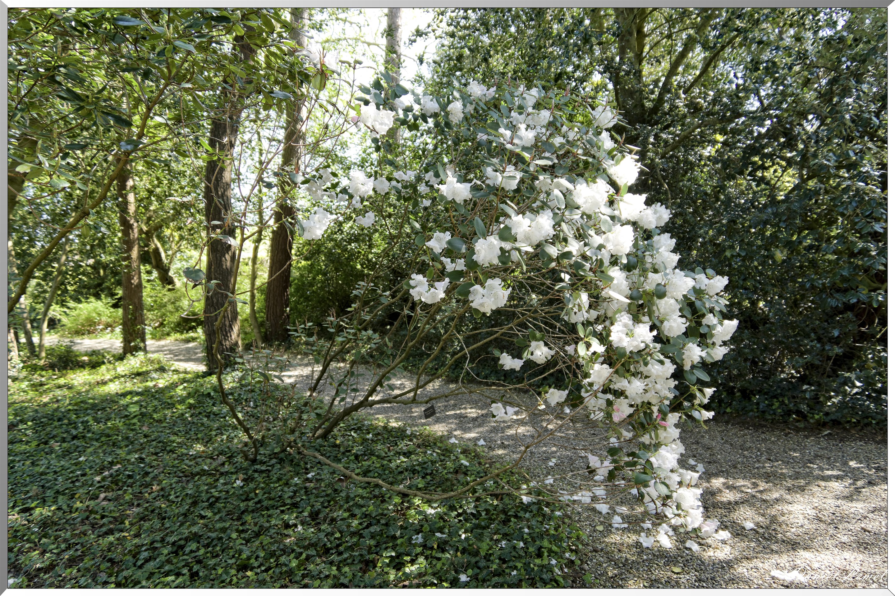 Parc du Bois des Moutiers