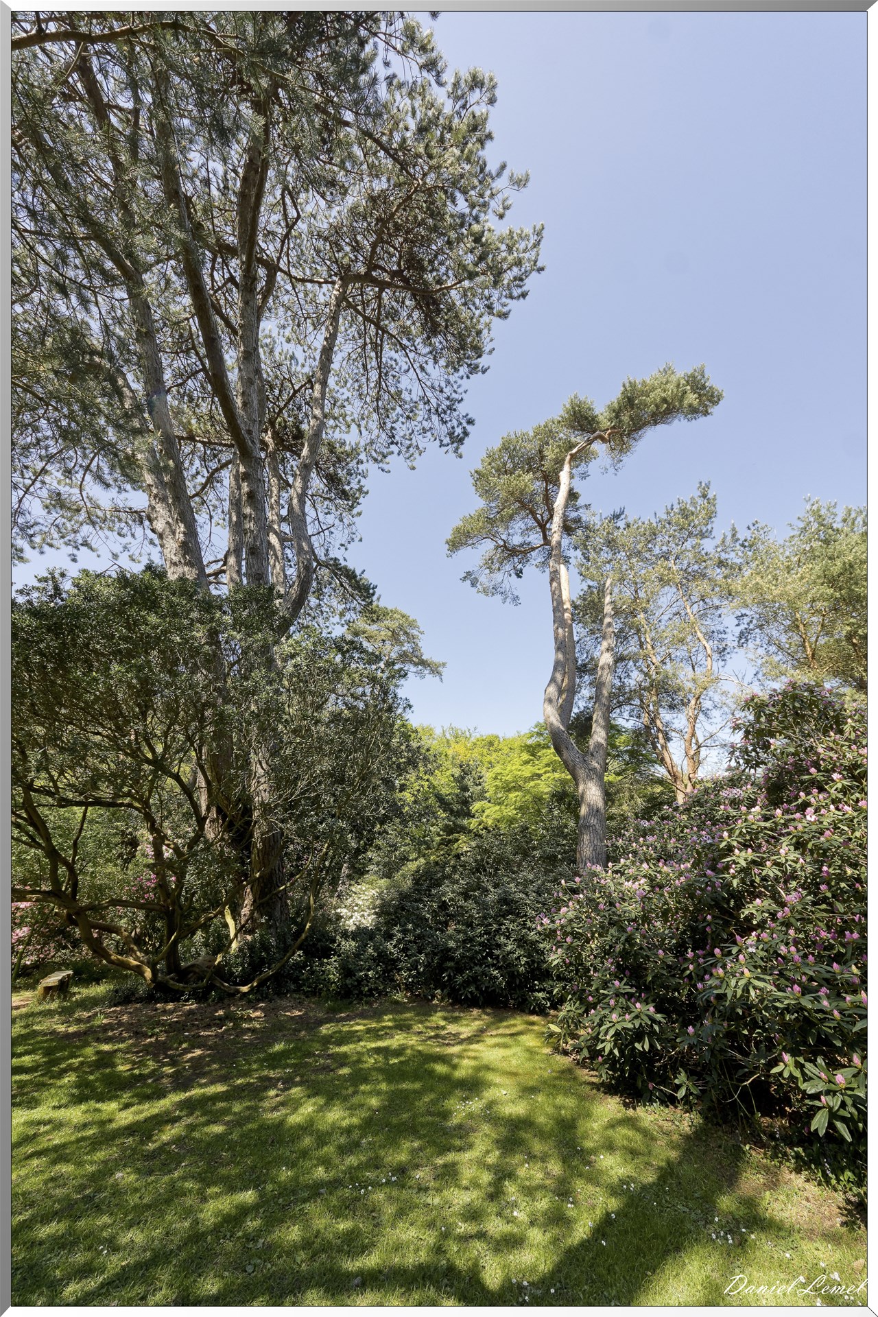 Parc du Bois des Moutiers