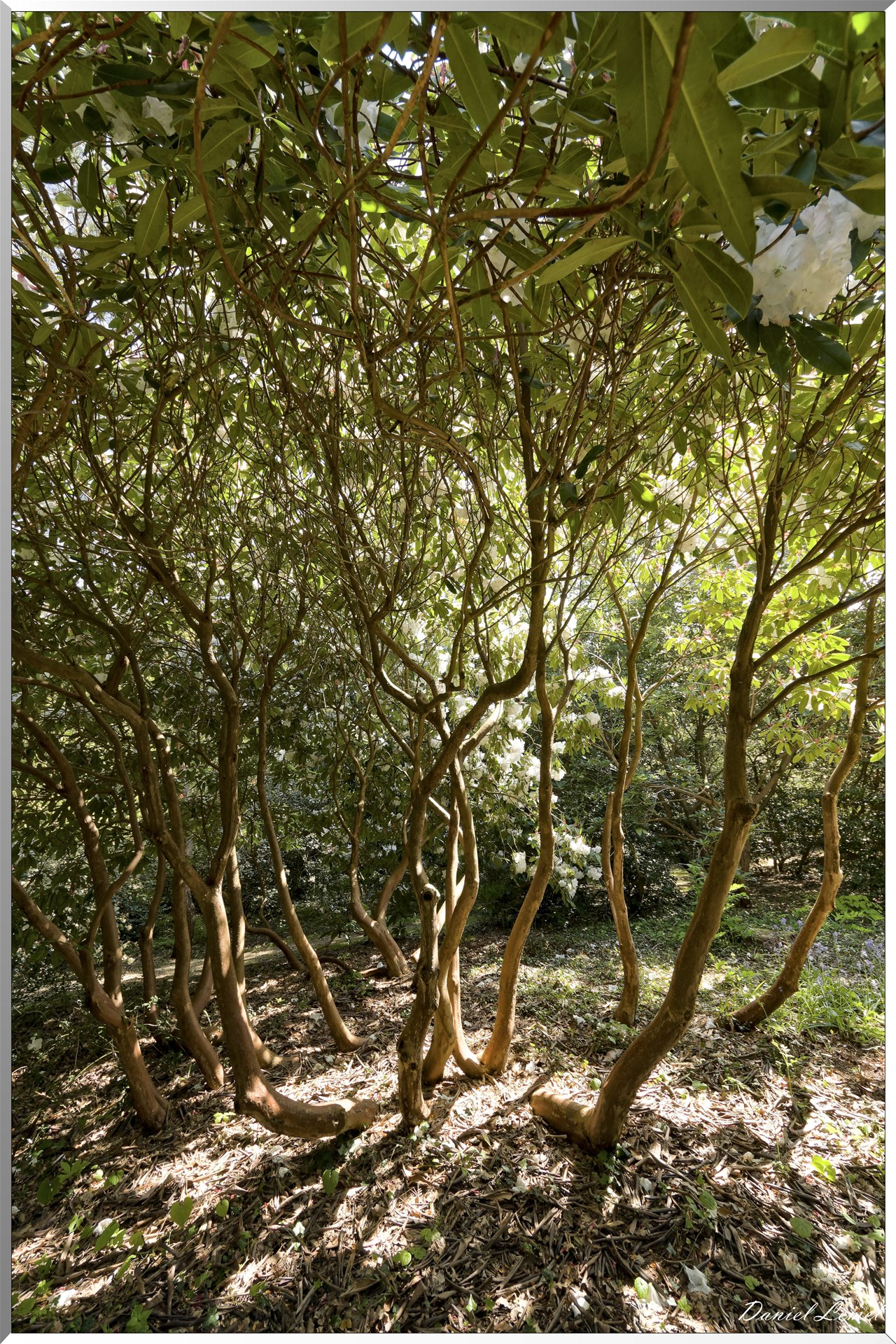 Parc du Bois des Moutiers
